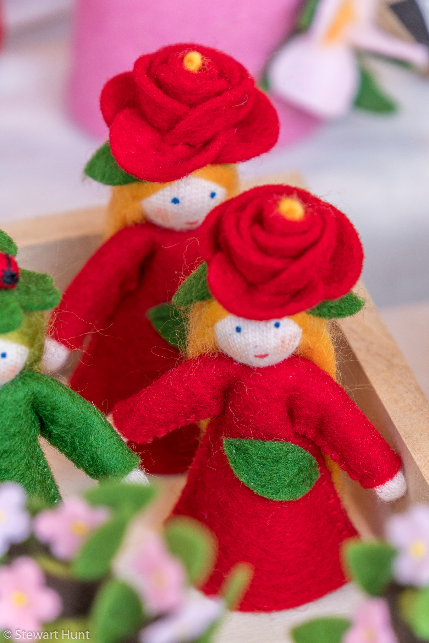 Vienna 2017 A6500 2000