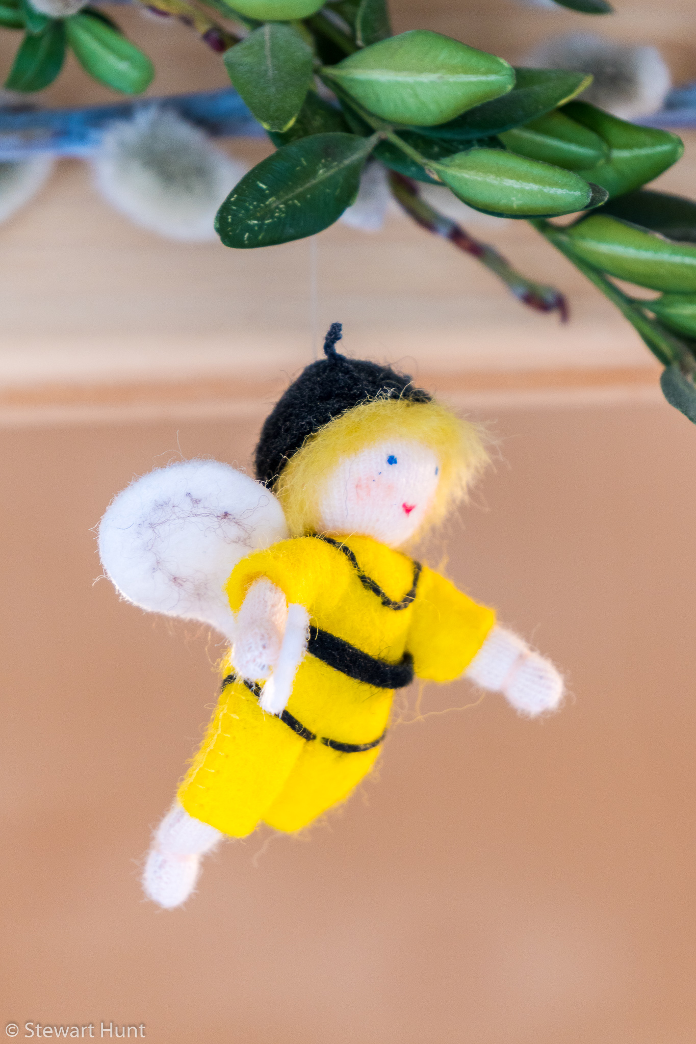 Vienna 2017 A6500 2002