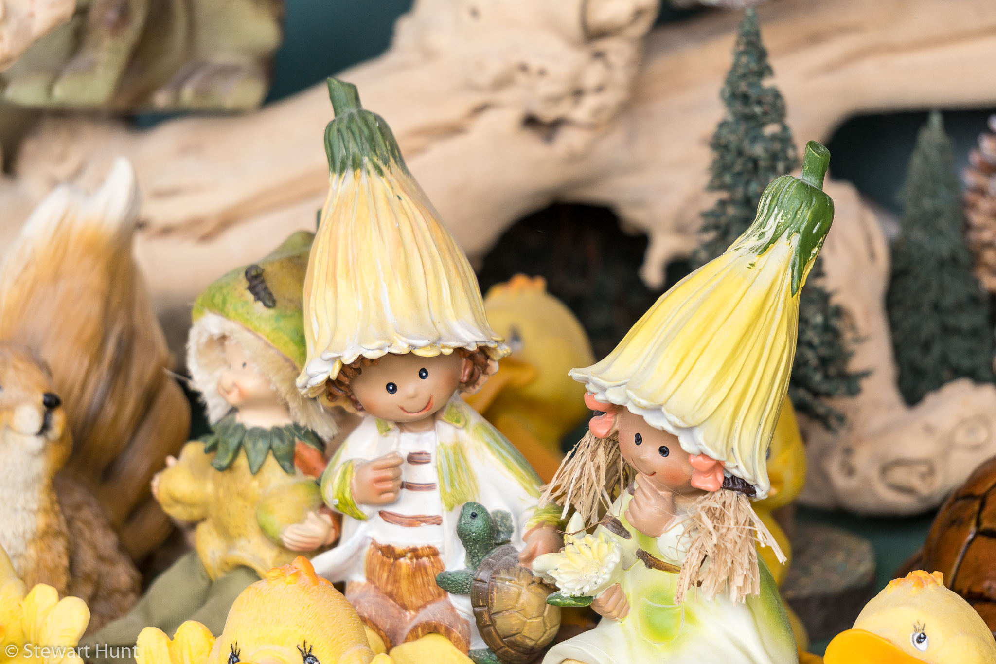 Vienna 2017 A6500 2117