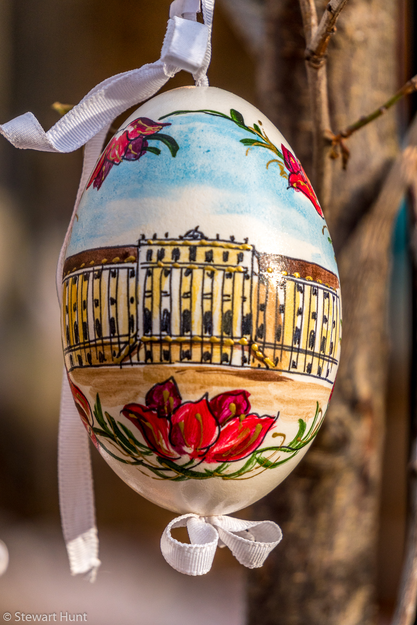 Vienna 2017 A6500 2449