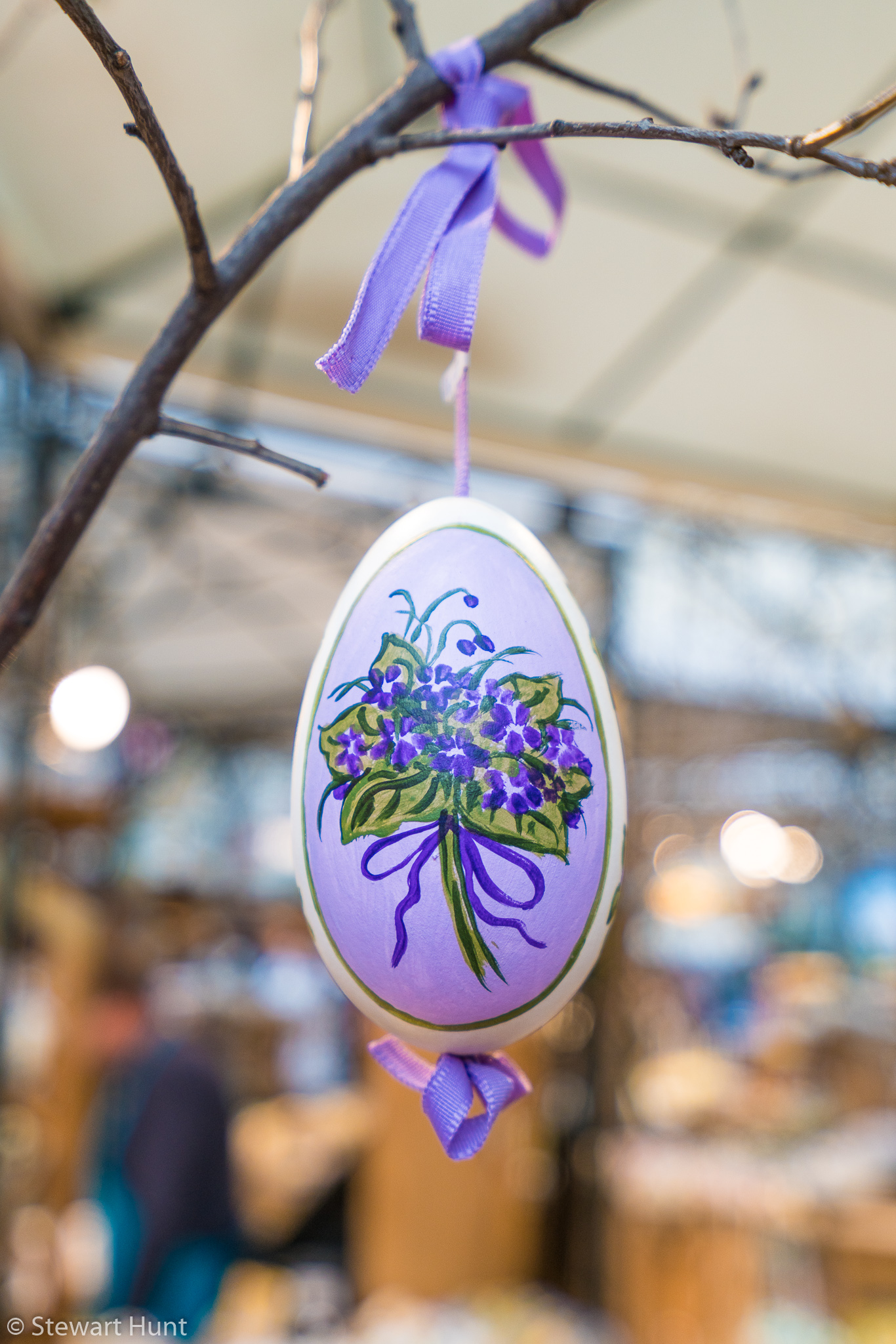 Vienna 2017 A7RII 7789