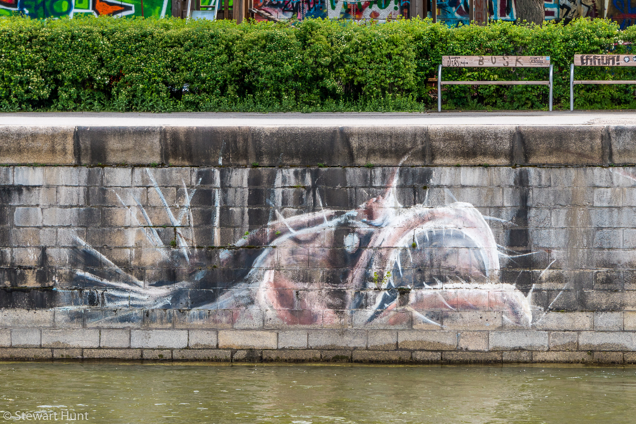 Vienna 2017 A6500 2249