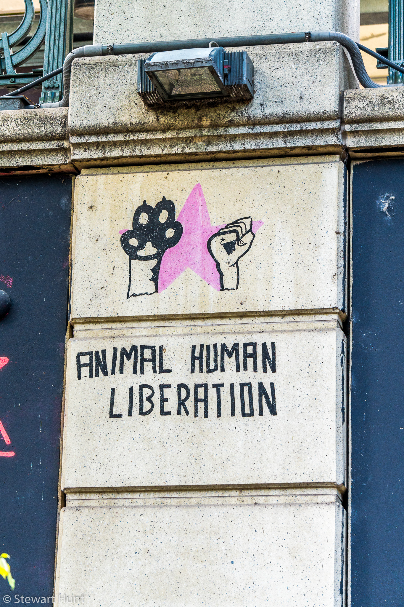 Vienna 2017 A6500 2271