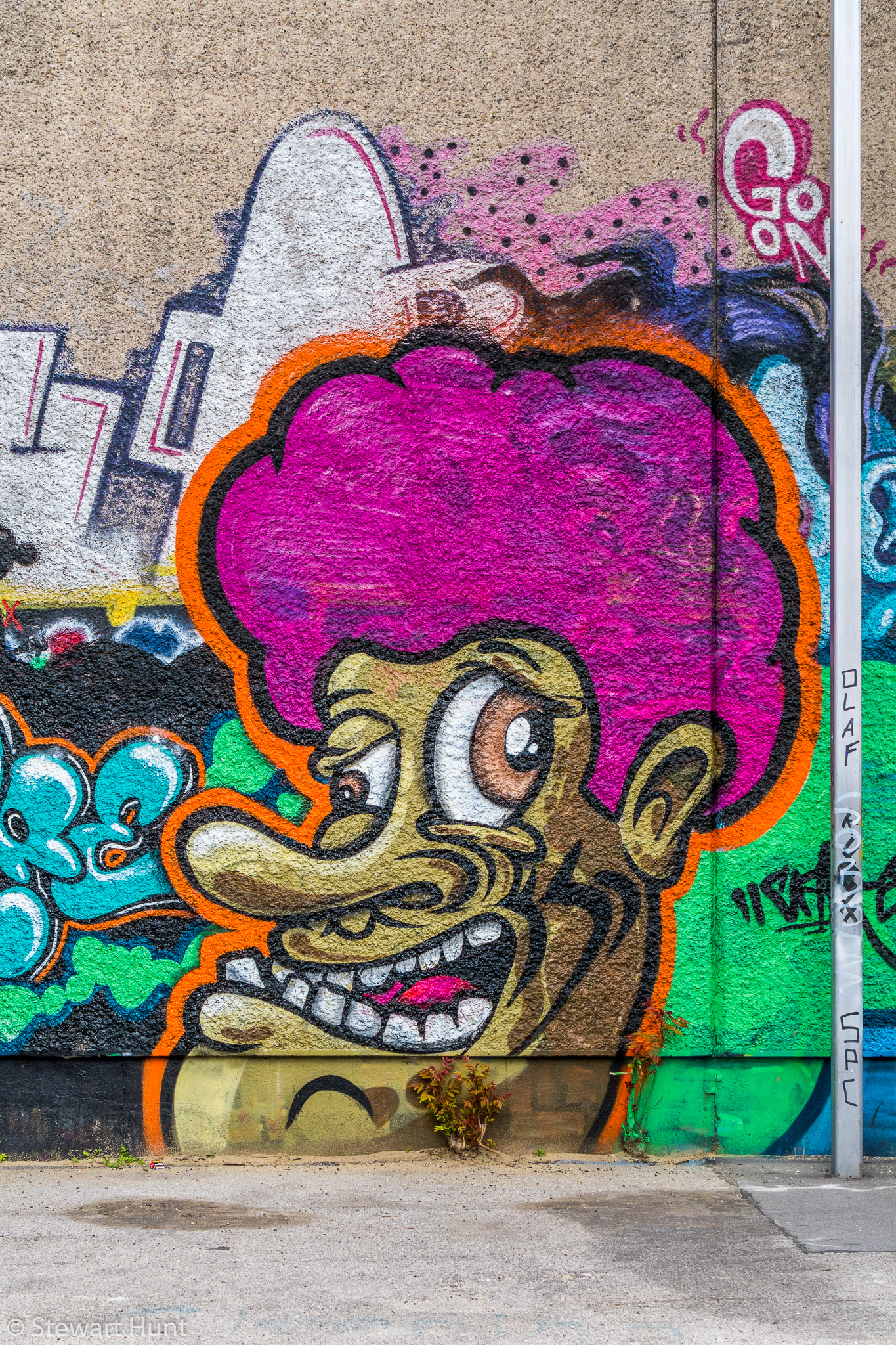 Vienna 2017 A6500 2324