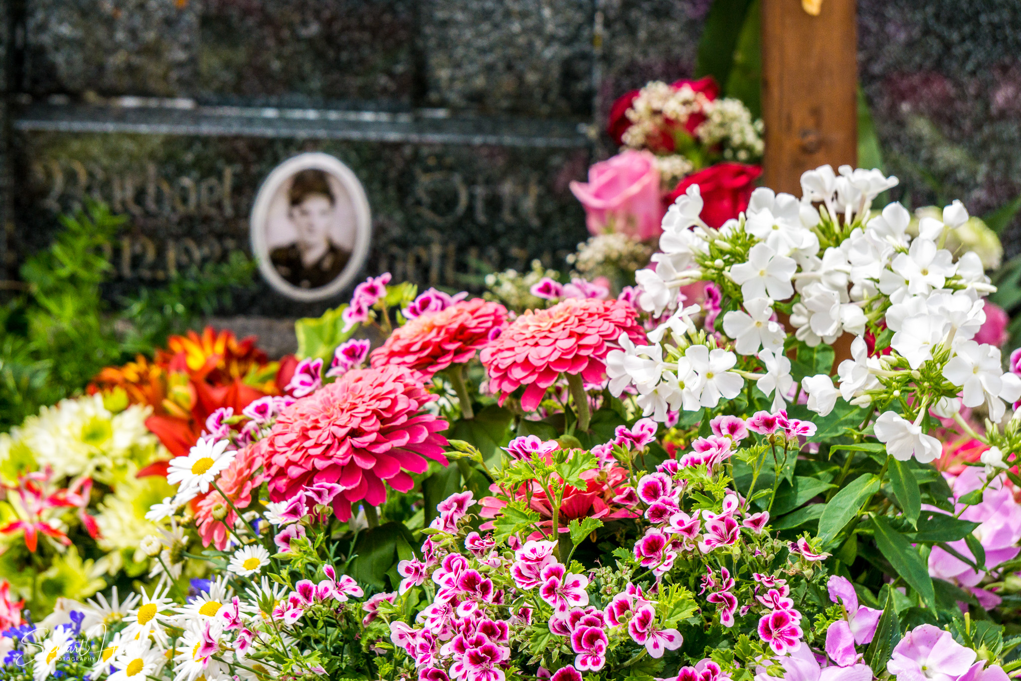 Kochel am See and Walcehsee and Walgau 0094