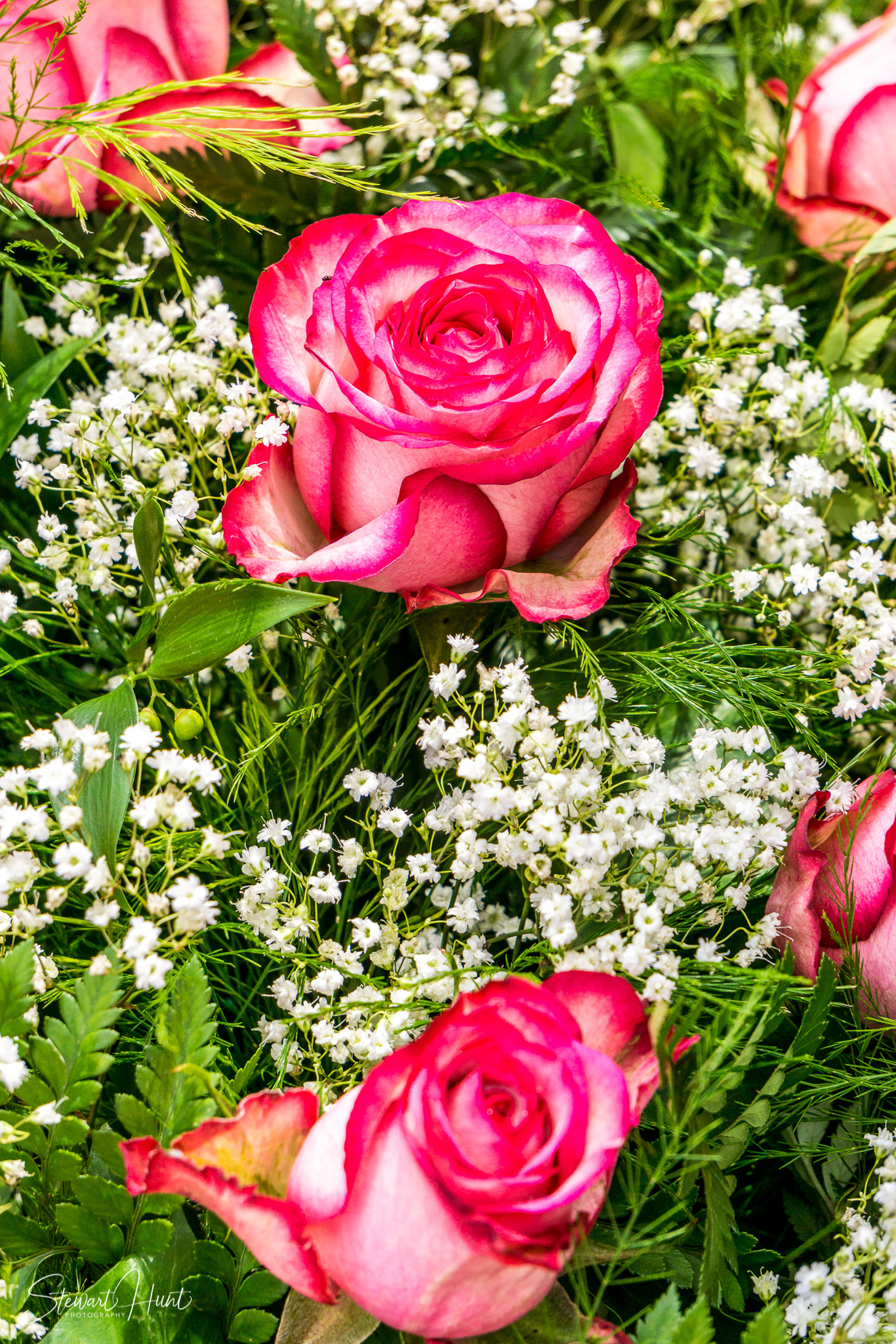 Kochel am See and Walcehsee and Walgau 0096