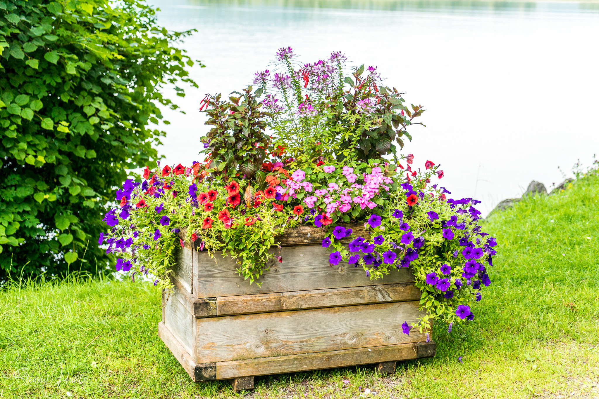 Kochel am See and Walcehsee and Walgau 03830