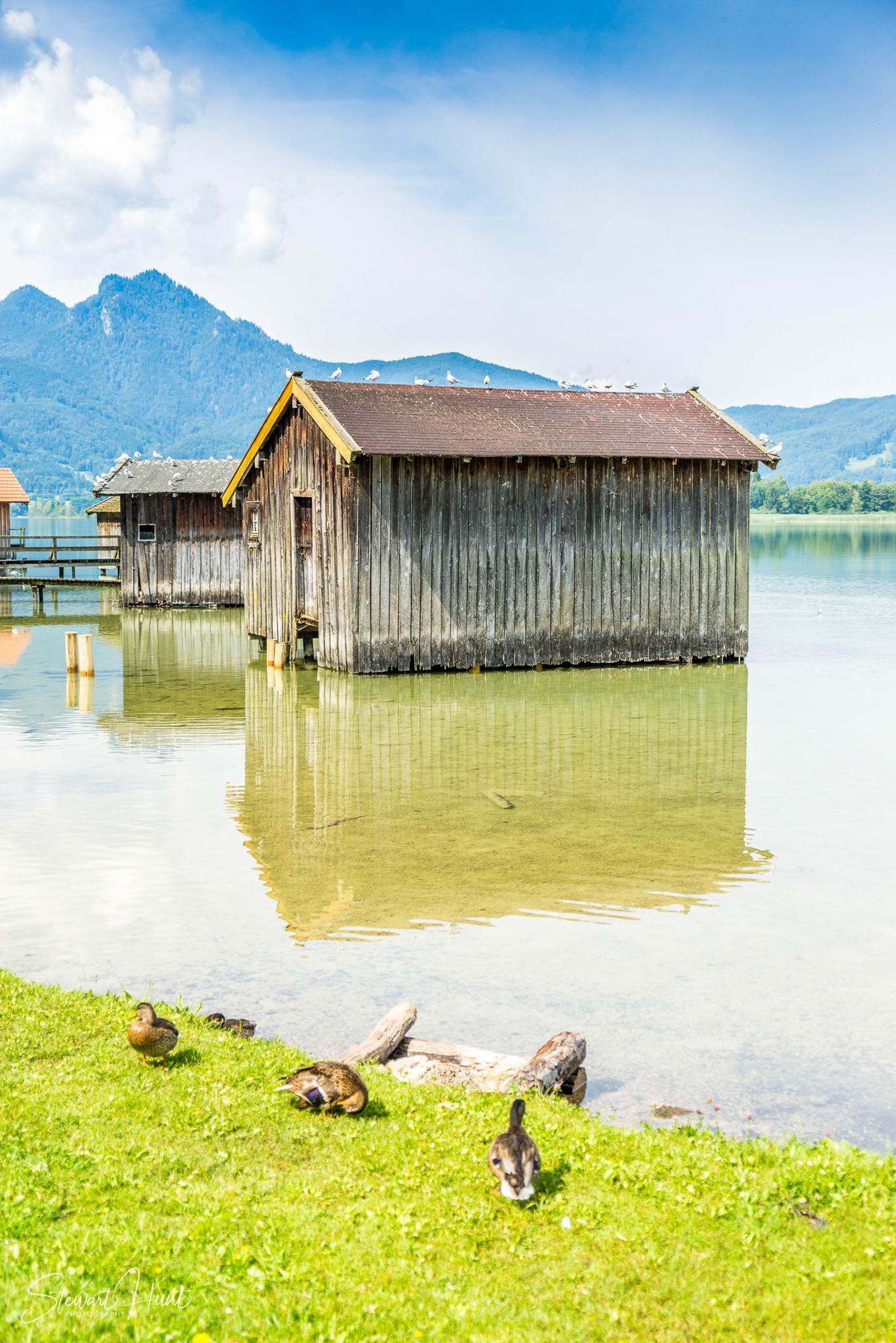 Kochel am See and Walcehsee and Walgau 03850