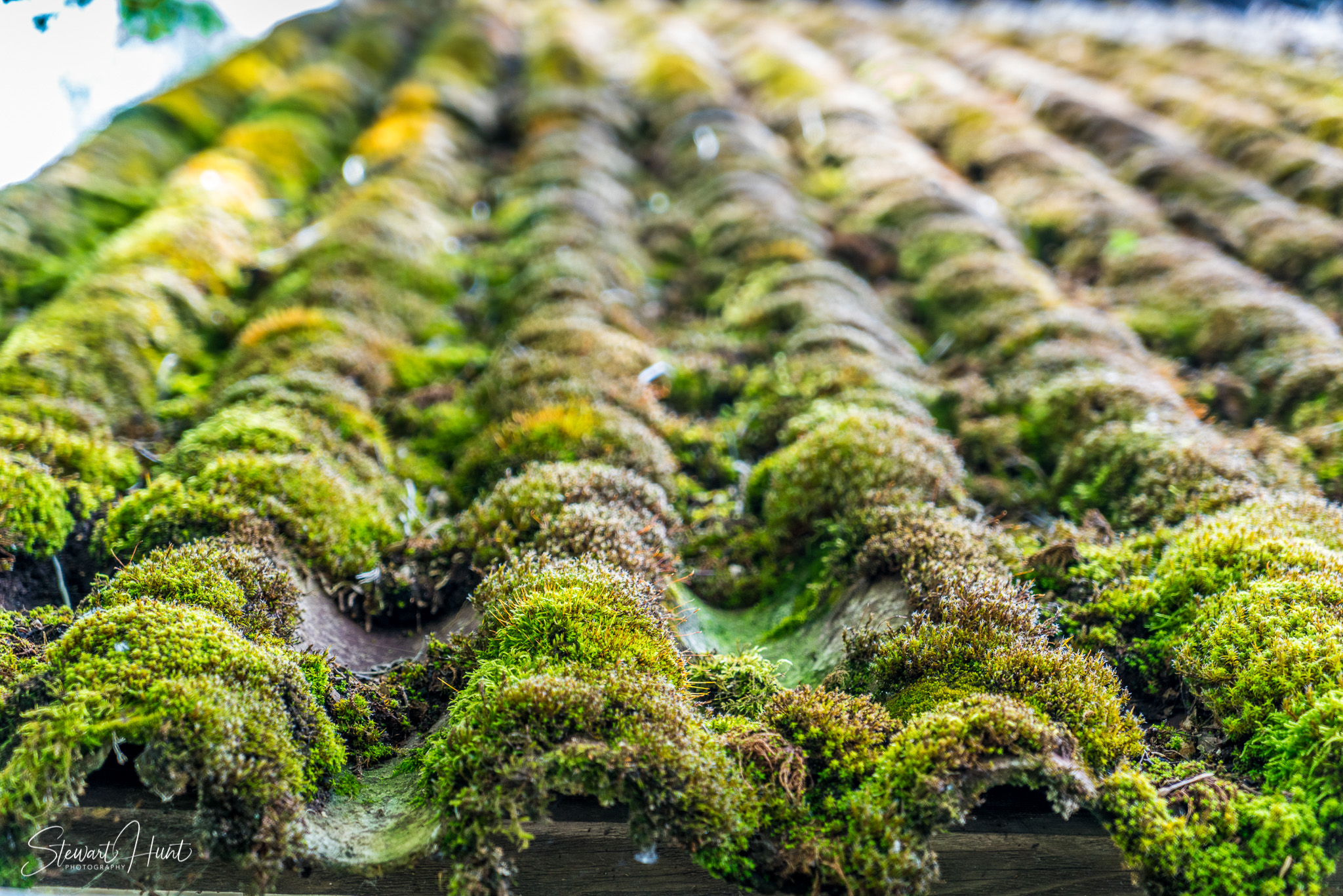 Kochel am See and Walcehsee and Walgau 03854