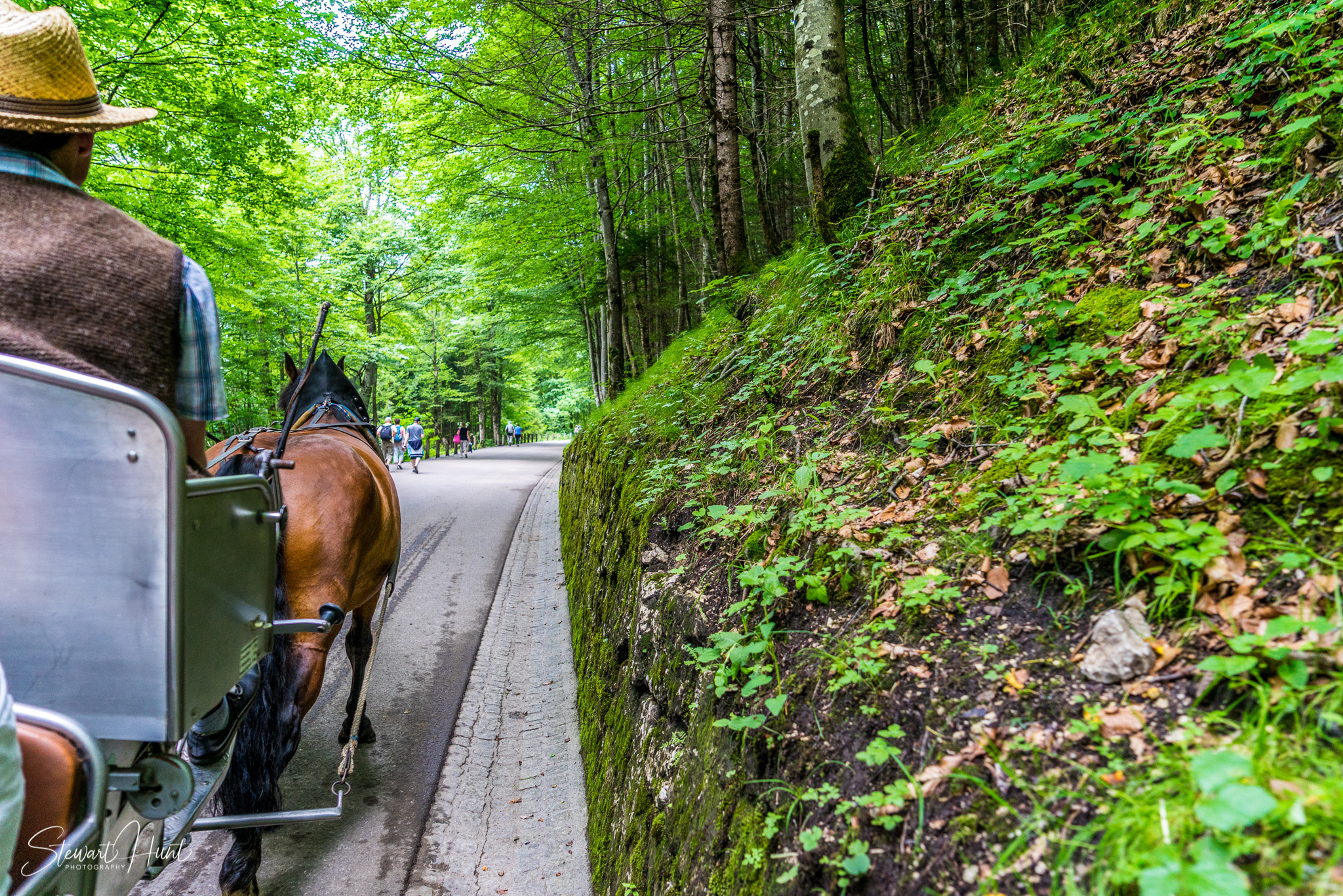 Neuschwanstein and Fussen 03909