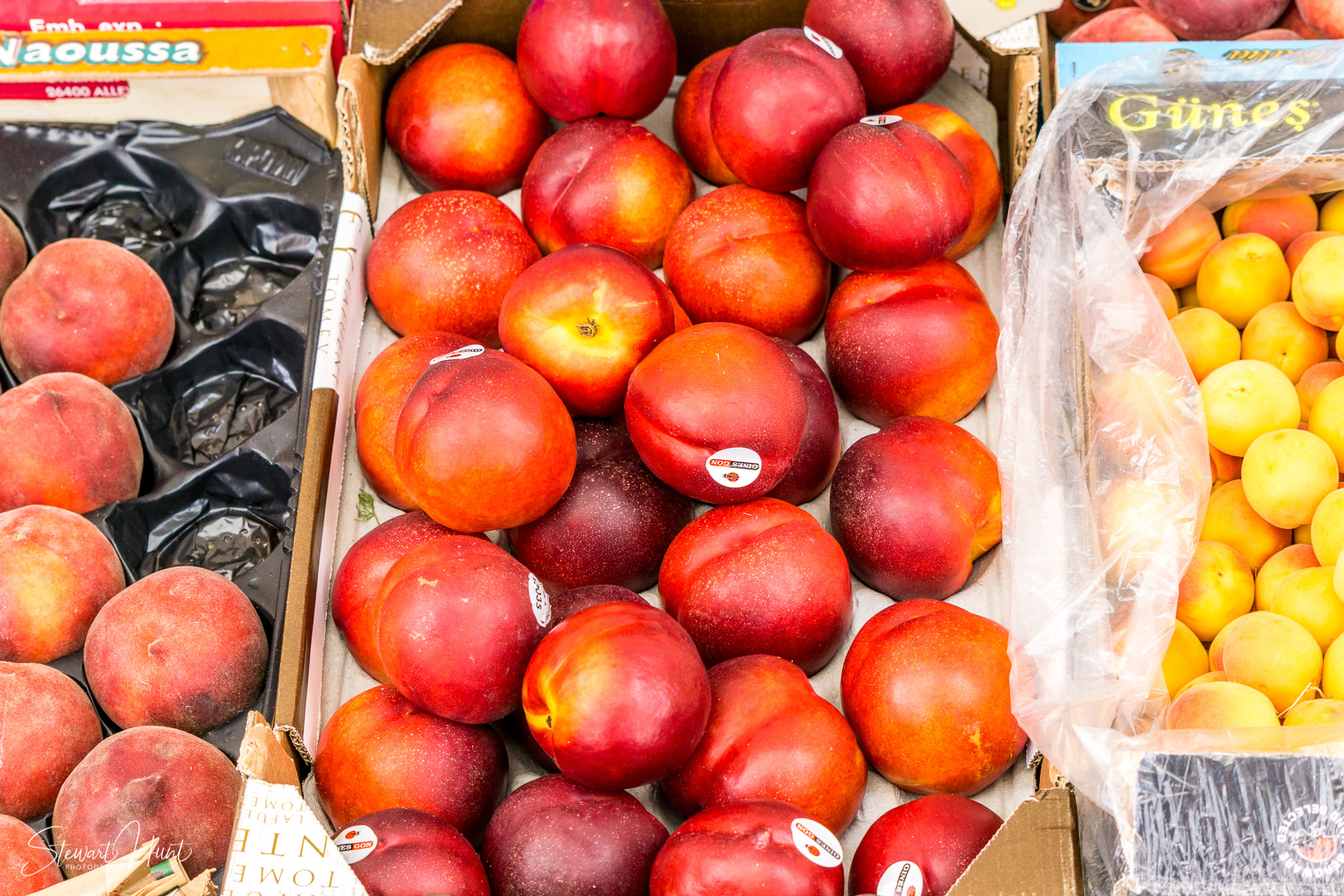 Oberammergau and Ettal and Tegernsee 0152