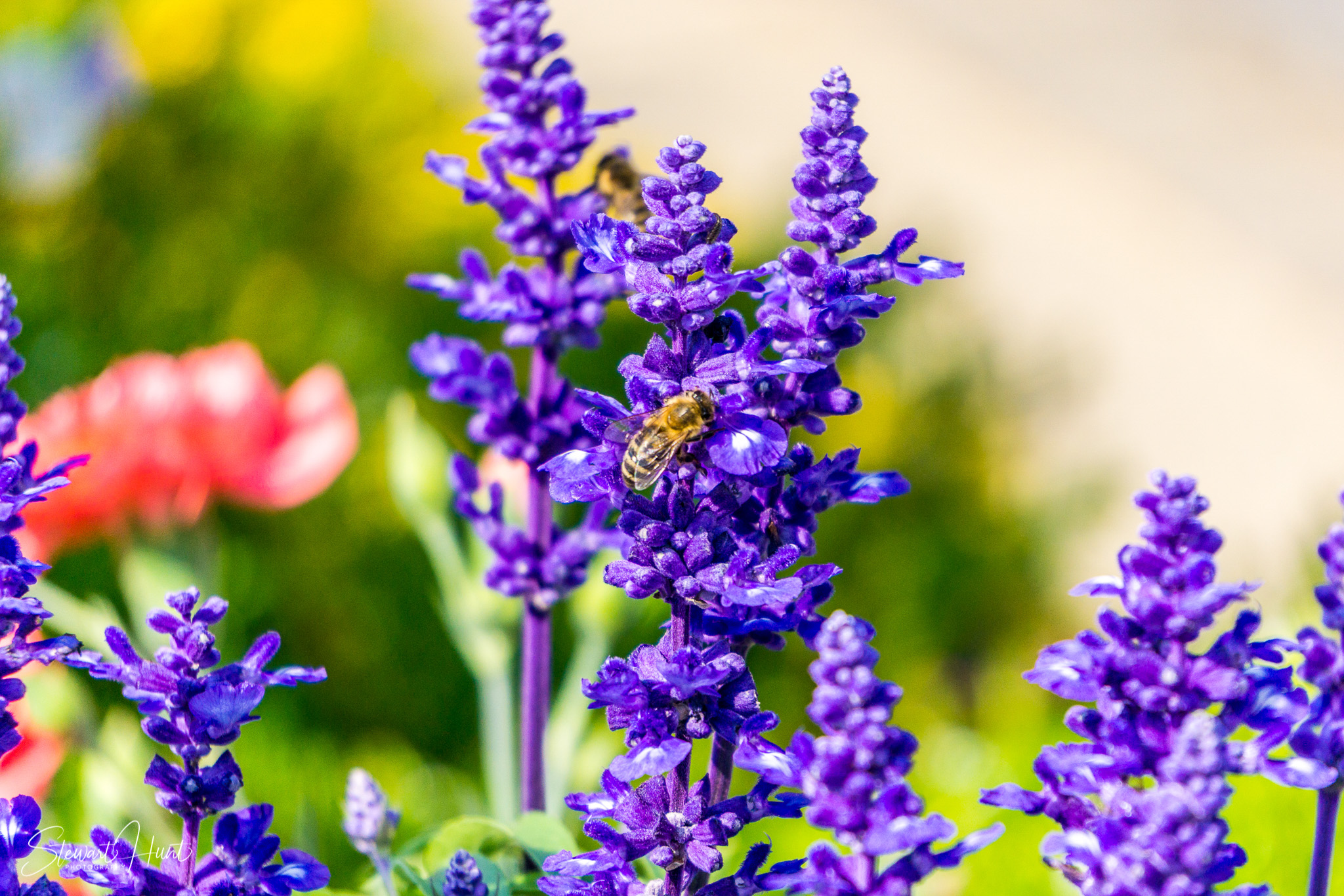 Oberammergau and Ettal and Tegernsee 0214