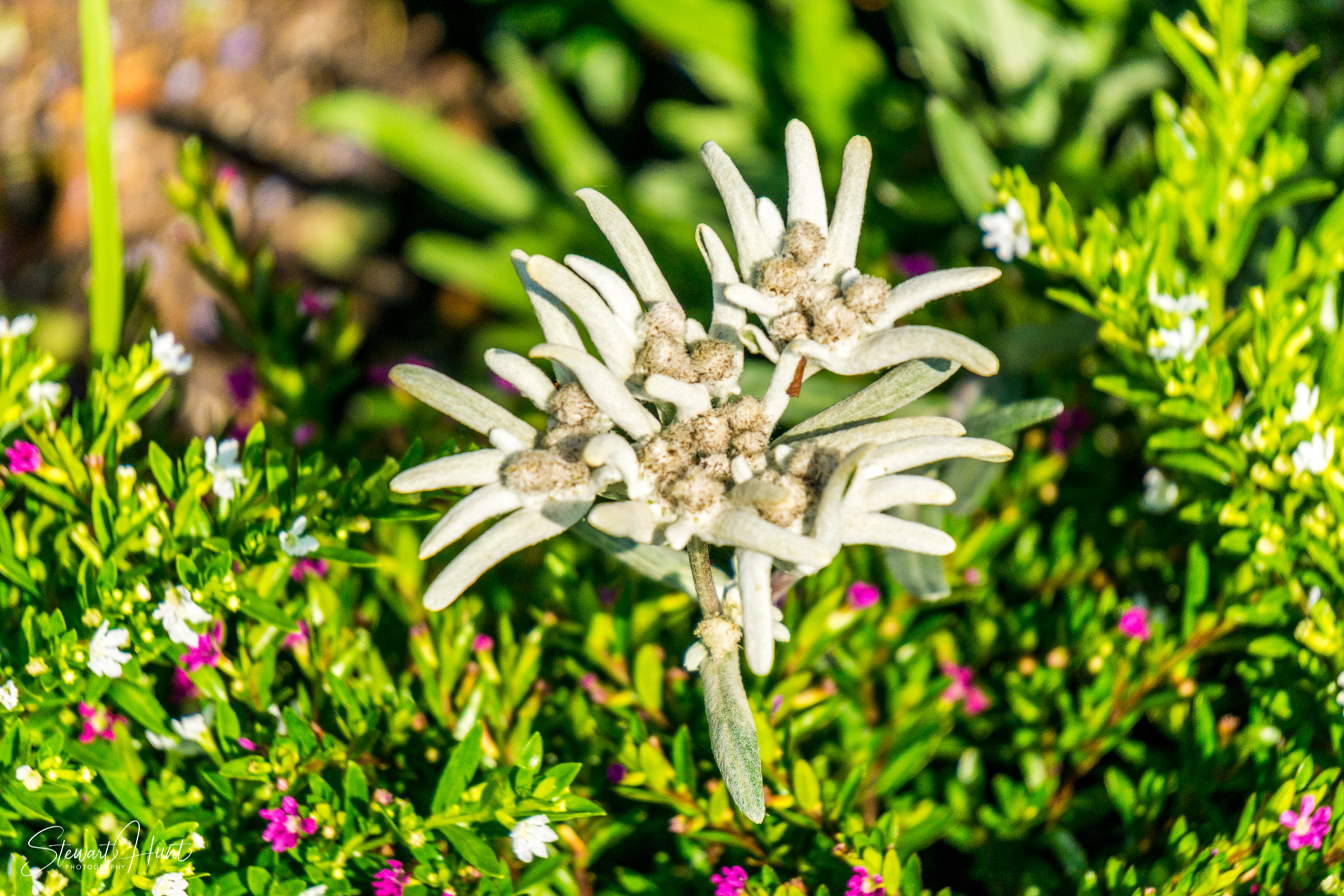 Oberammergau and Ettal and Tegernsee 0219