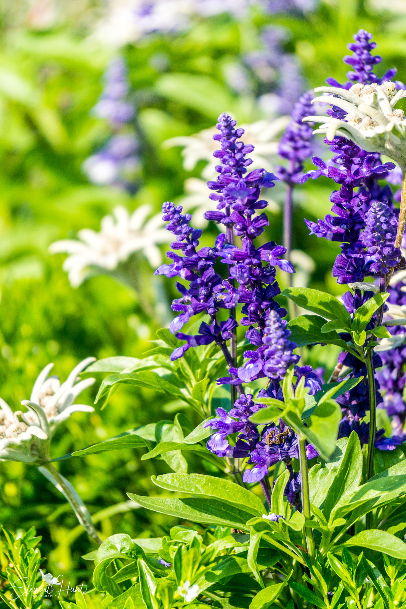 Oberammergau and Ettal and Tegernsee 0223