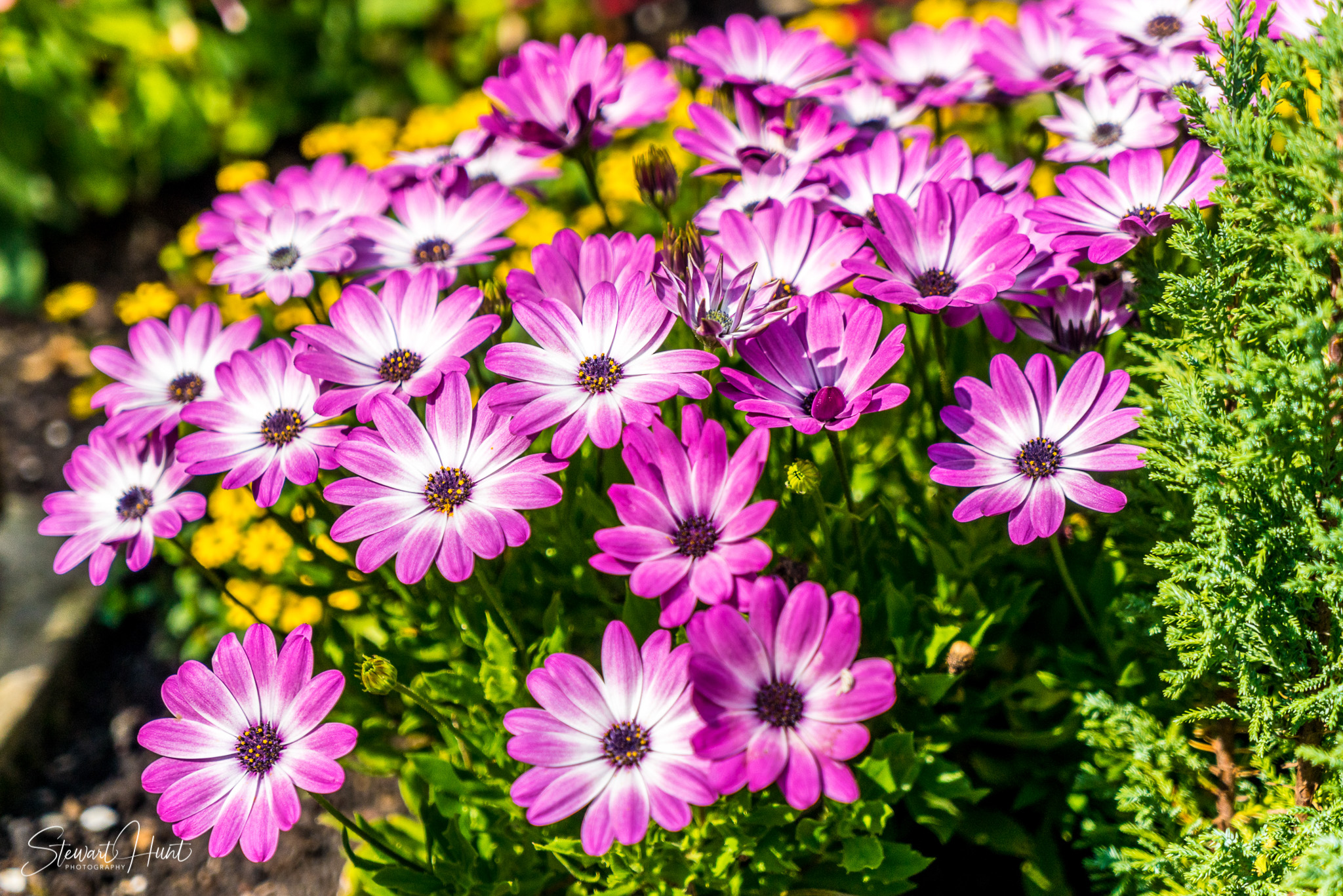 Oberammergau and Ettal and Tegernsee 04117