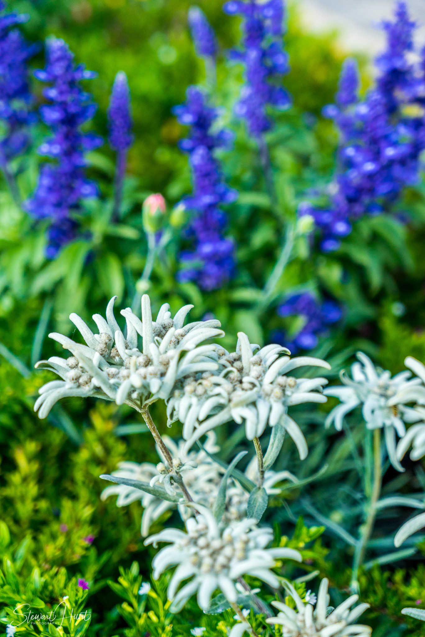 Oberammergau and Ettal and Tegernsee 04216