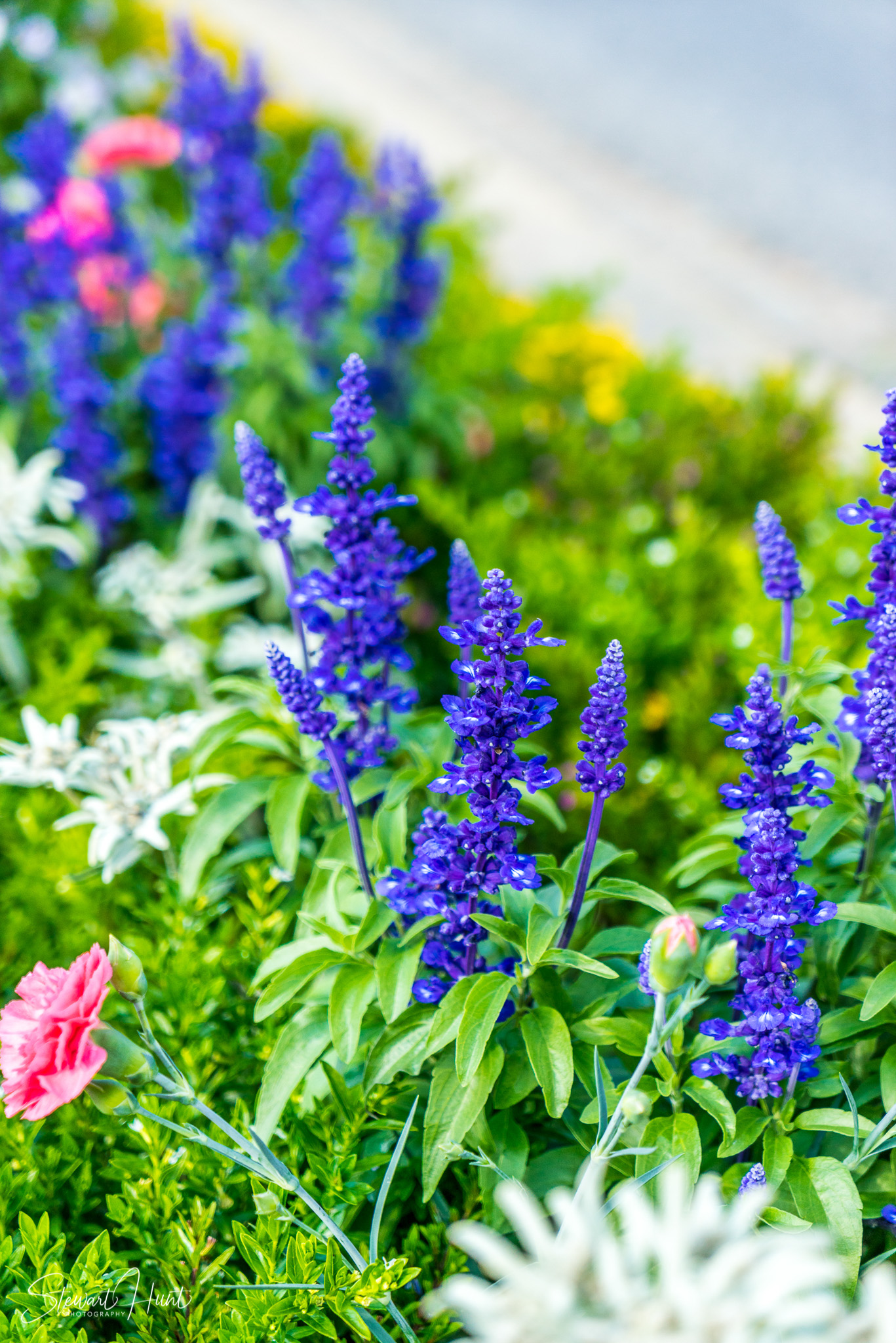 Oberammergau and Ettal and Tegernsee 04217