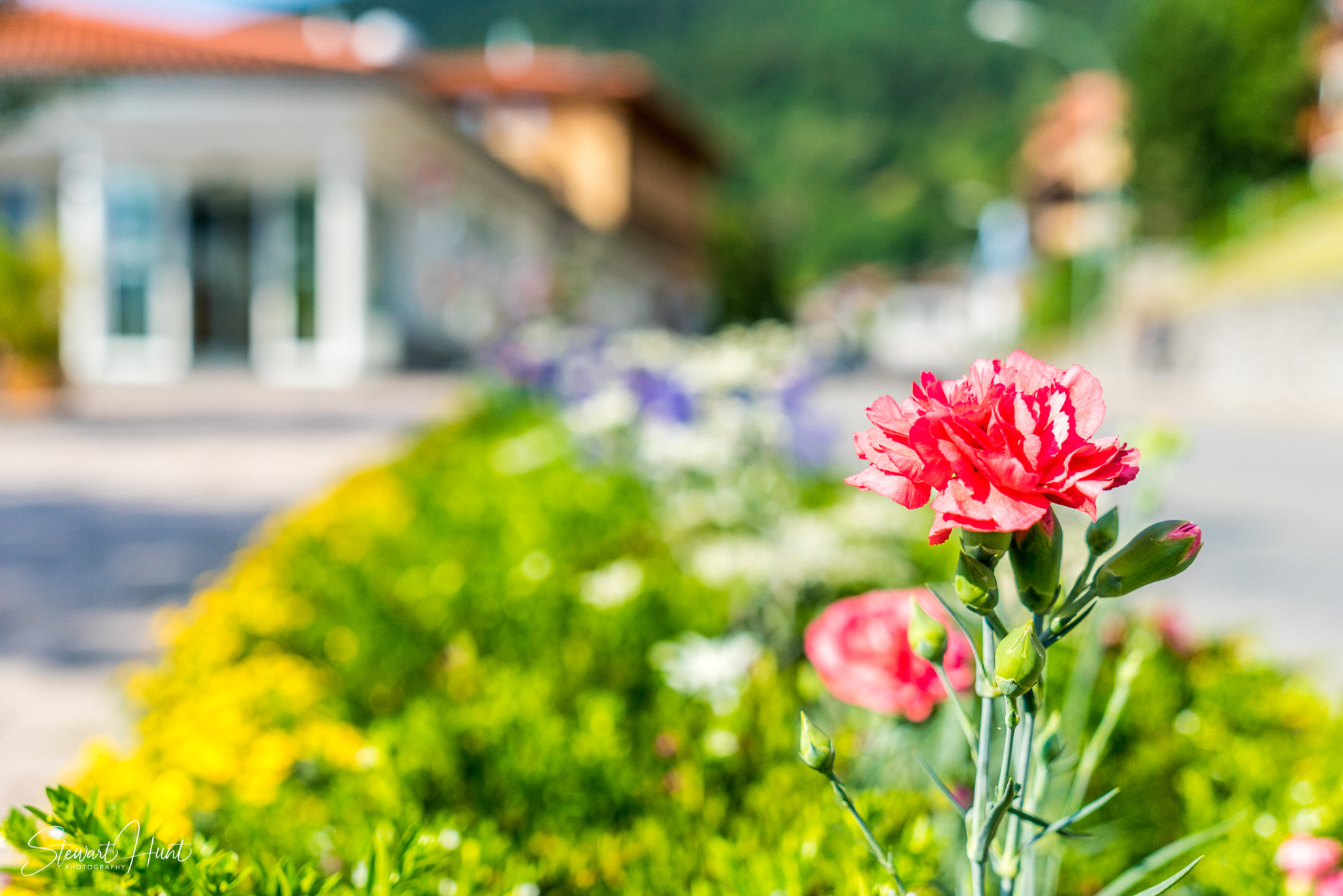 Oberammergau and Ettal and Tegernsee 04219