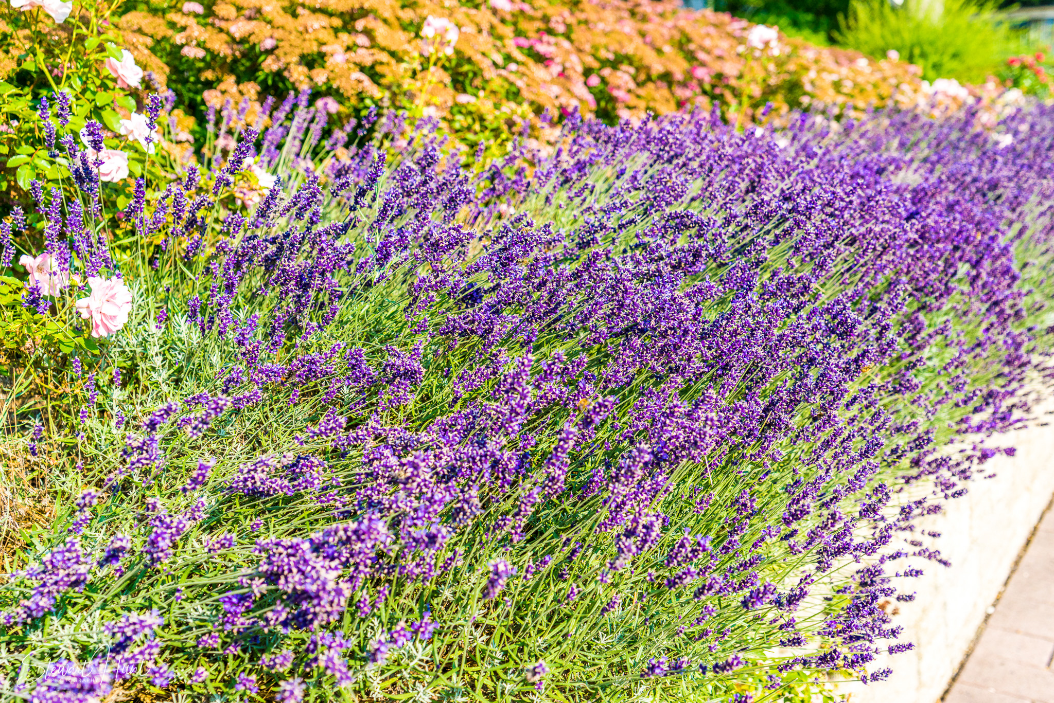 Oberammergau and Ettal and Tegernsee 04228