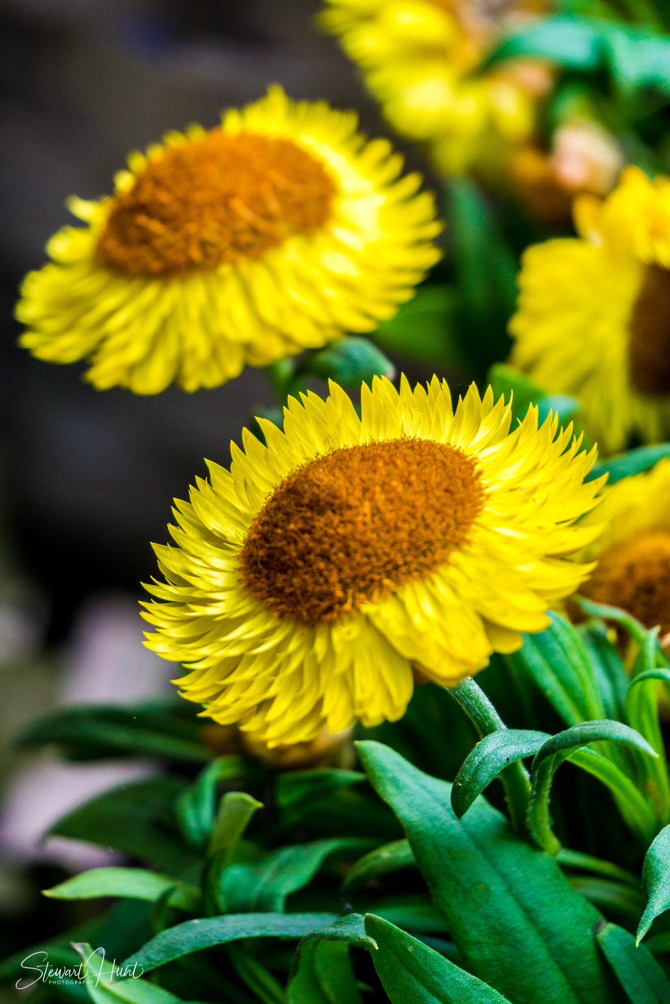 Hintersee and Berchtesgaden and Rossfeldstrasse 1373