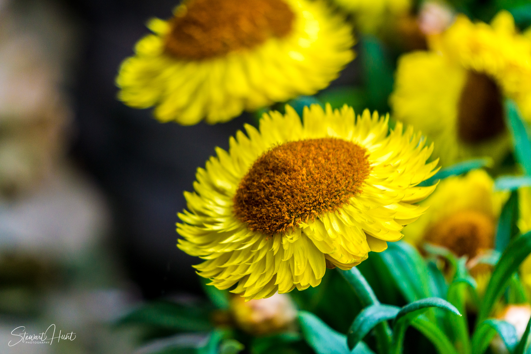 Hintersee and Berchtesgaden and Rossfeldstrasse 1374