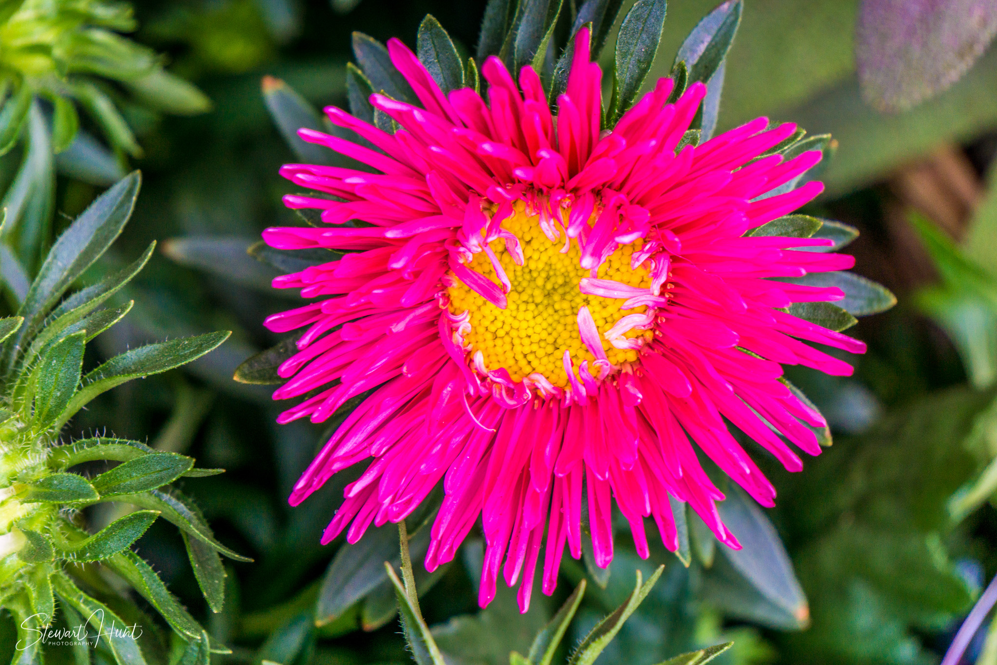 Hintersee and Berchtesgaden and Rossfeldstrasse 1376