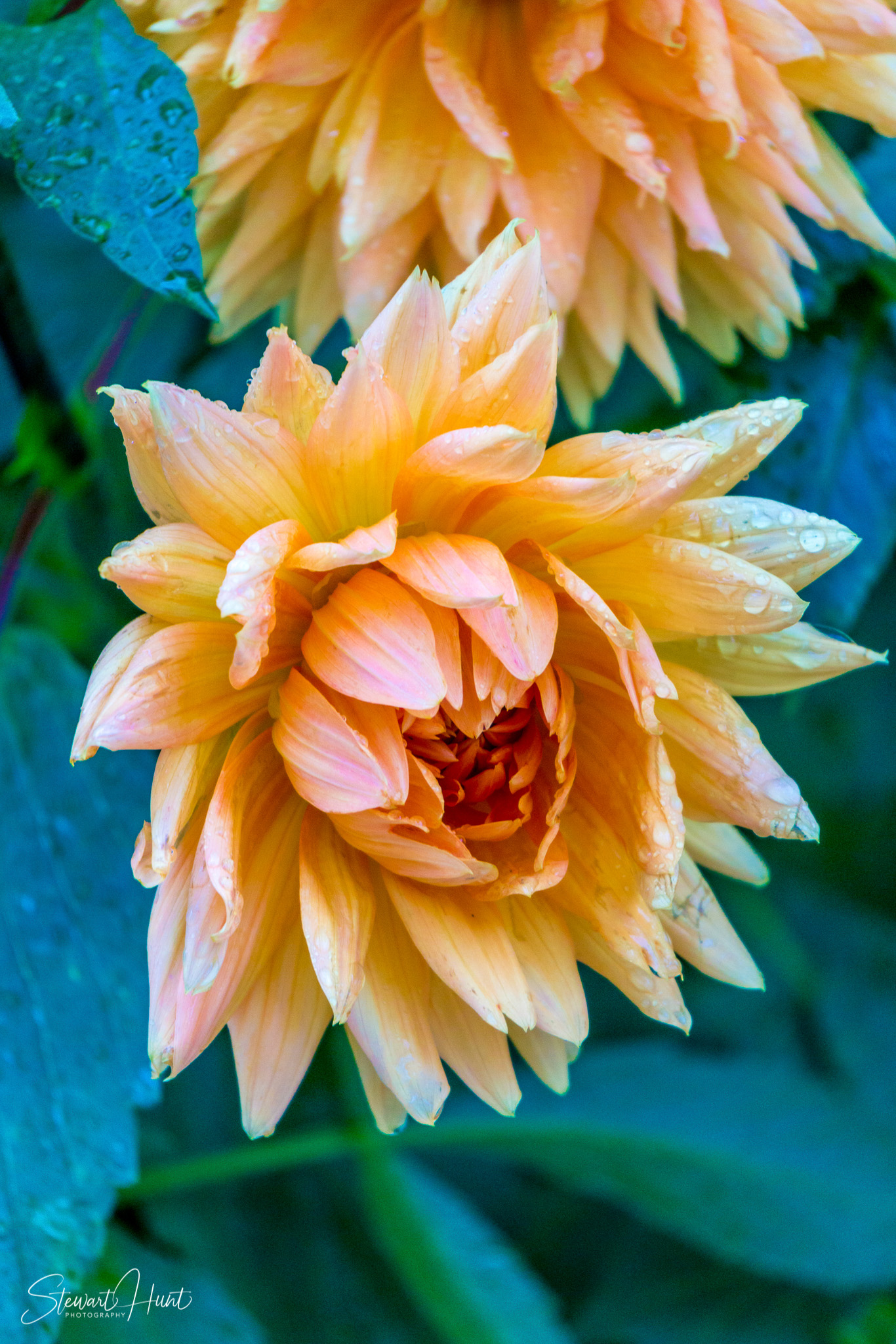 Bad Reichenhal and Zell am See 1416