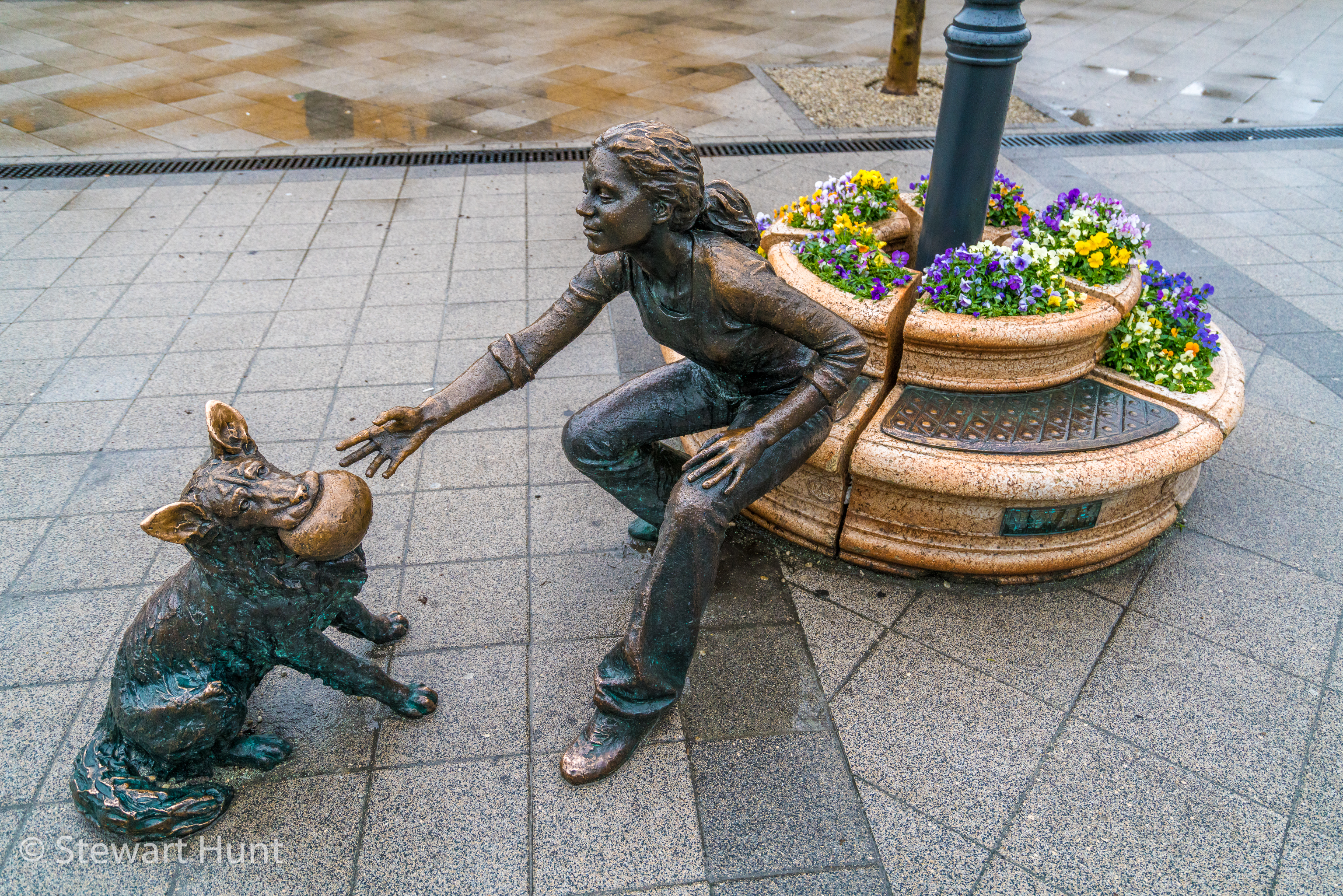 Budapest 2017 A7RII 8229