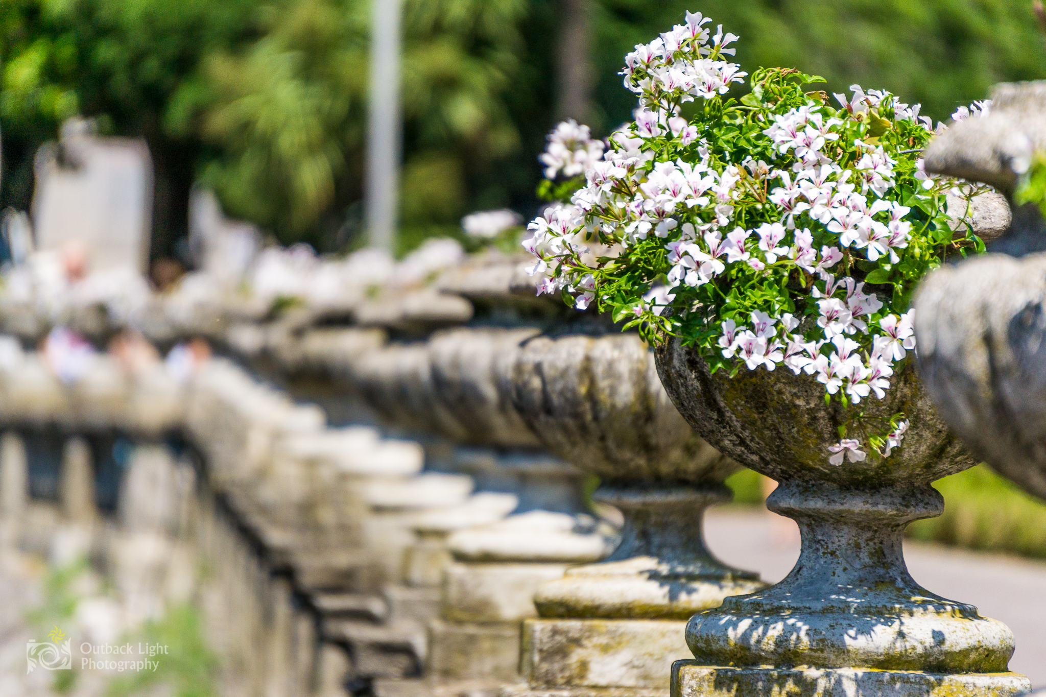 Italy 2016 A6000 5982