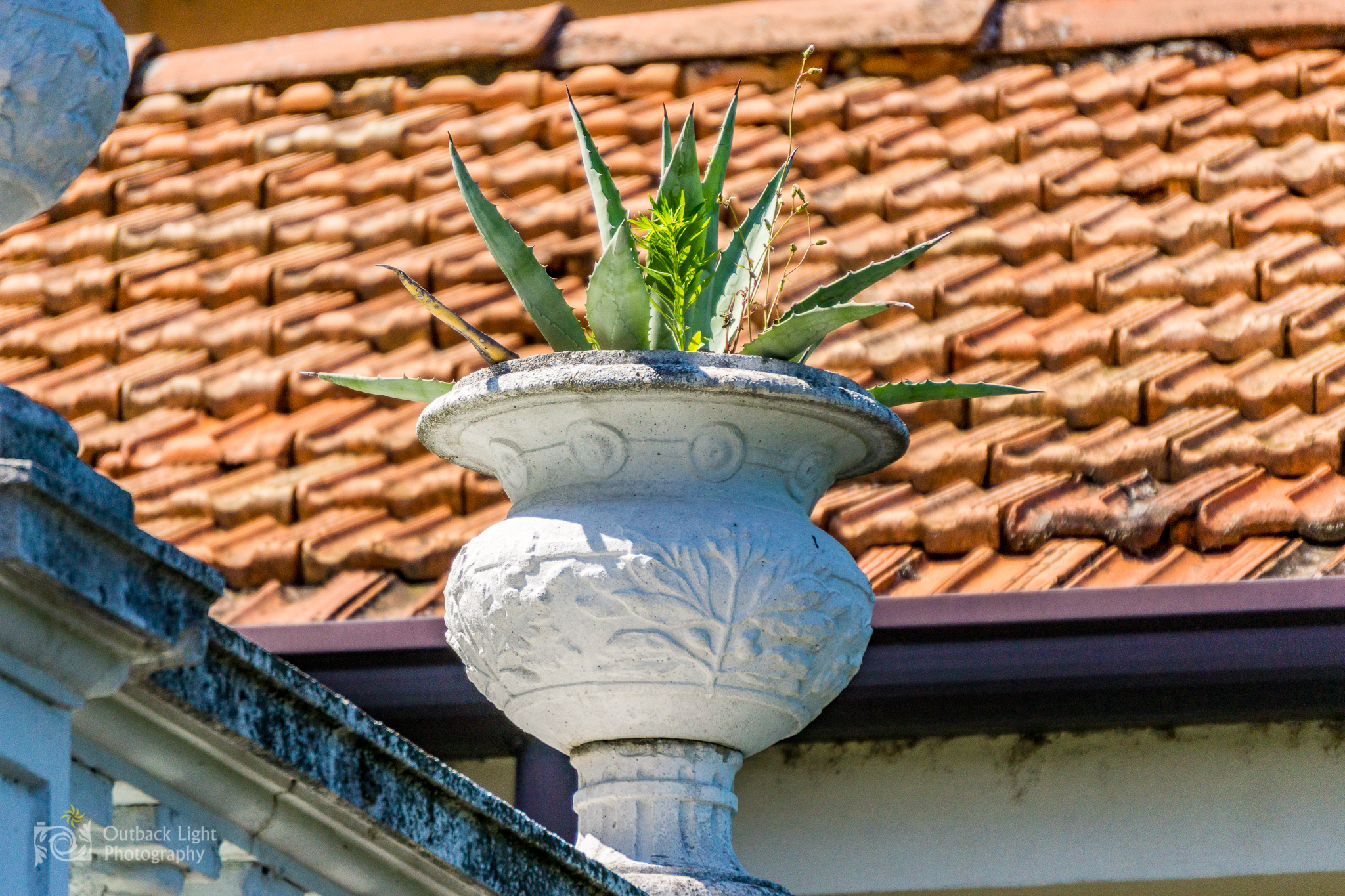 Italy 2016 A6000 6035