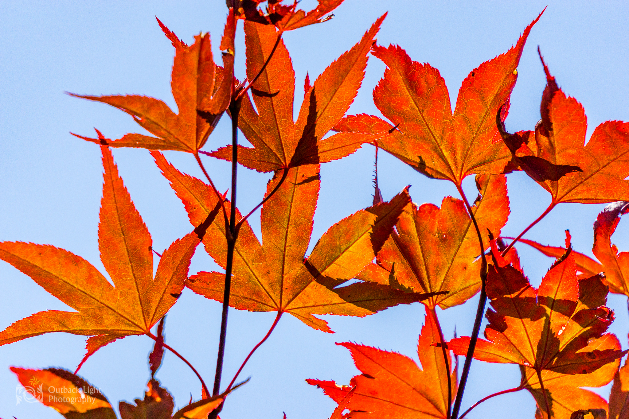 Italy 2016 A6000 6043