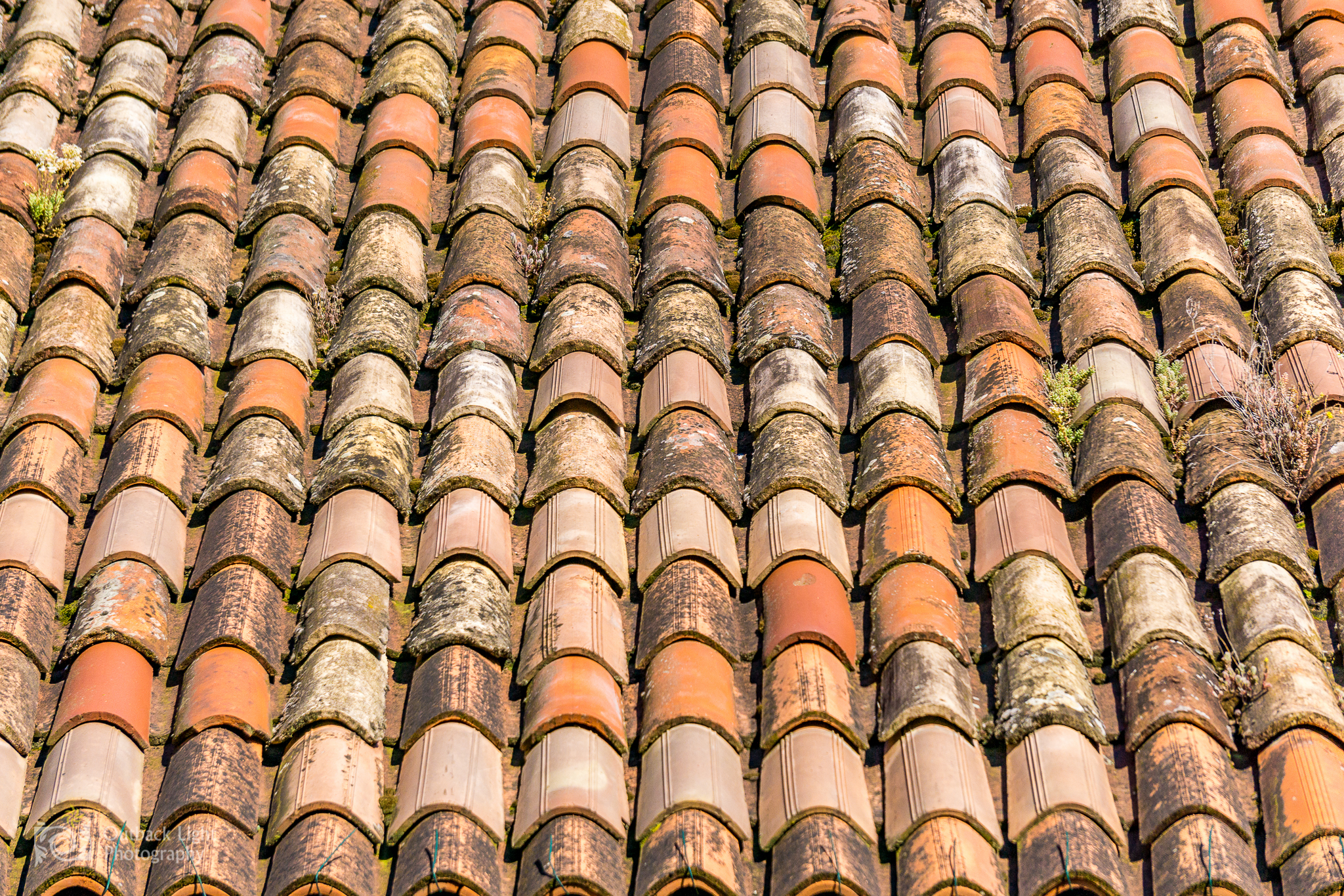 Italy 2016 A6000 6051