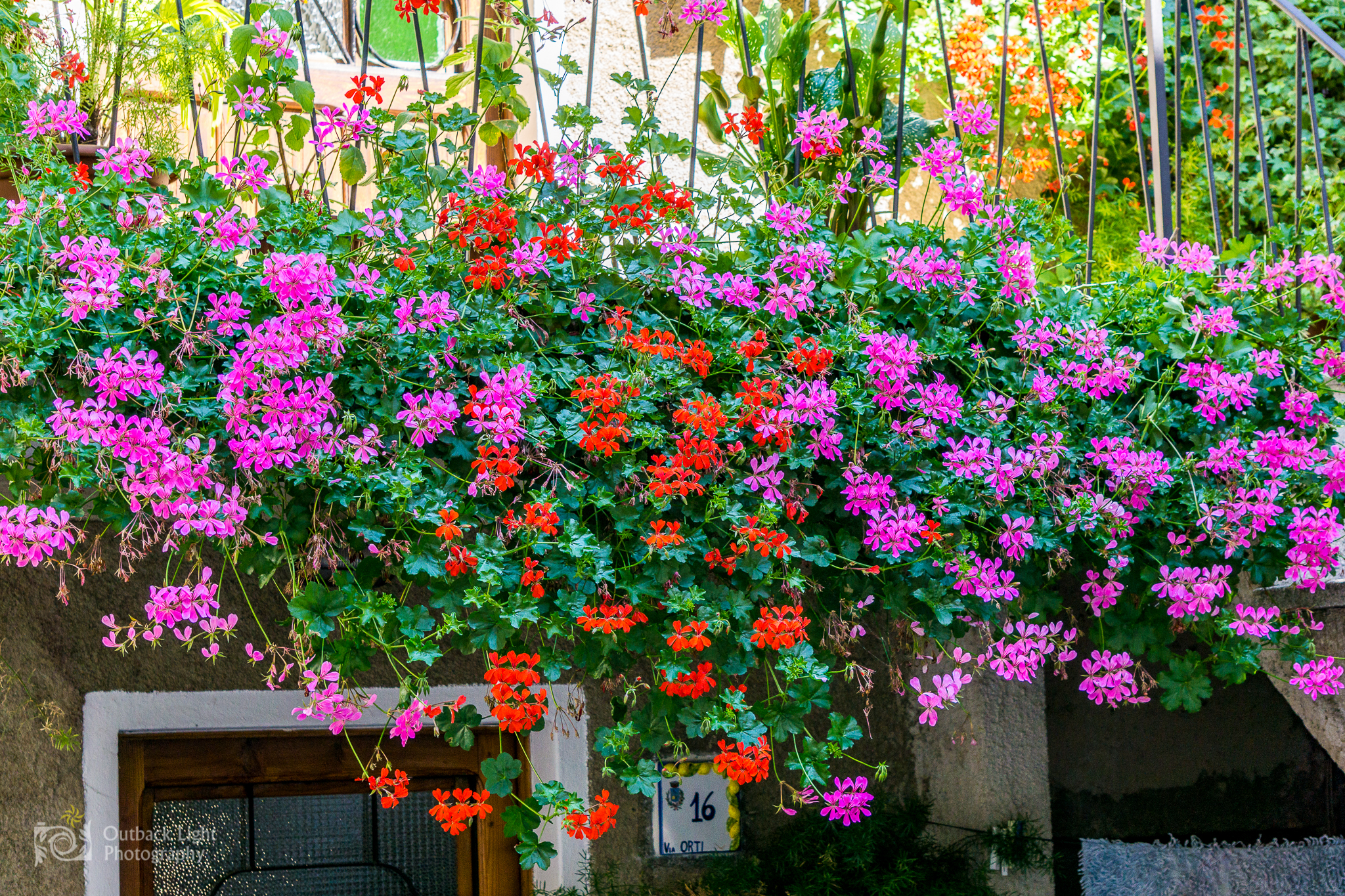 Italy 2016 A6000 6091