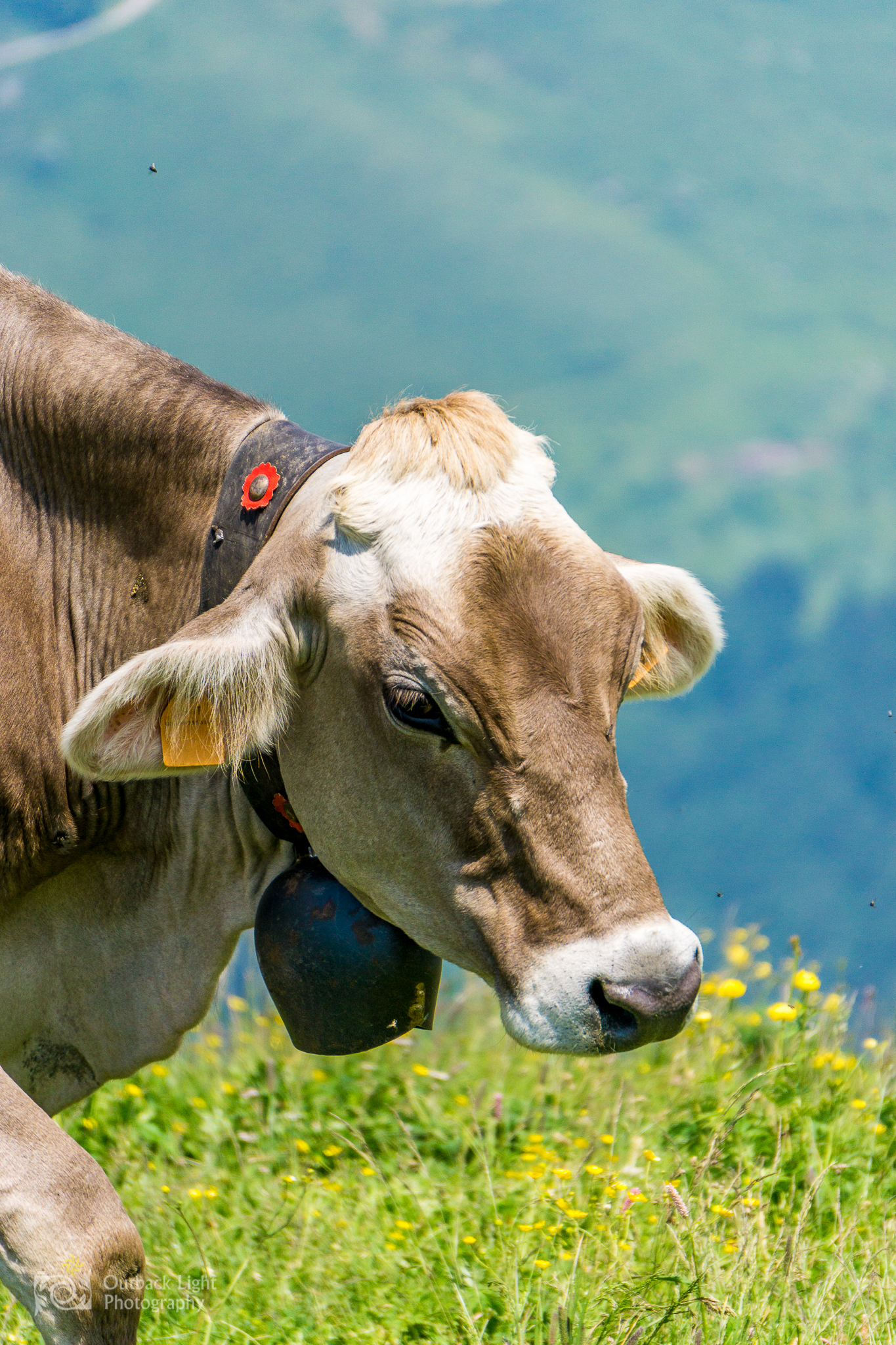 Italy 2016 A6000 6151