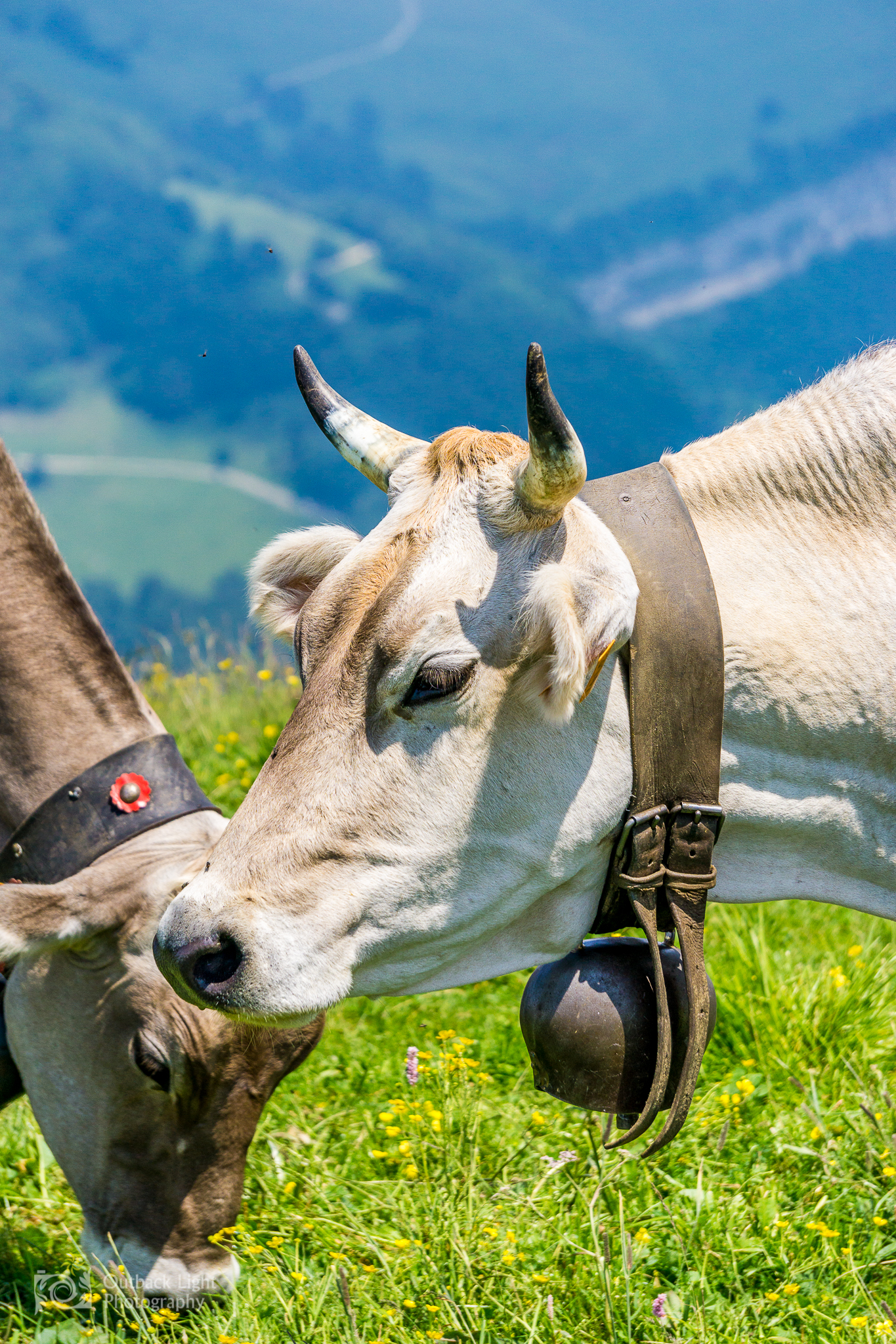 Italy 2016 A6000 6153