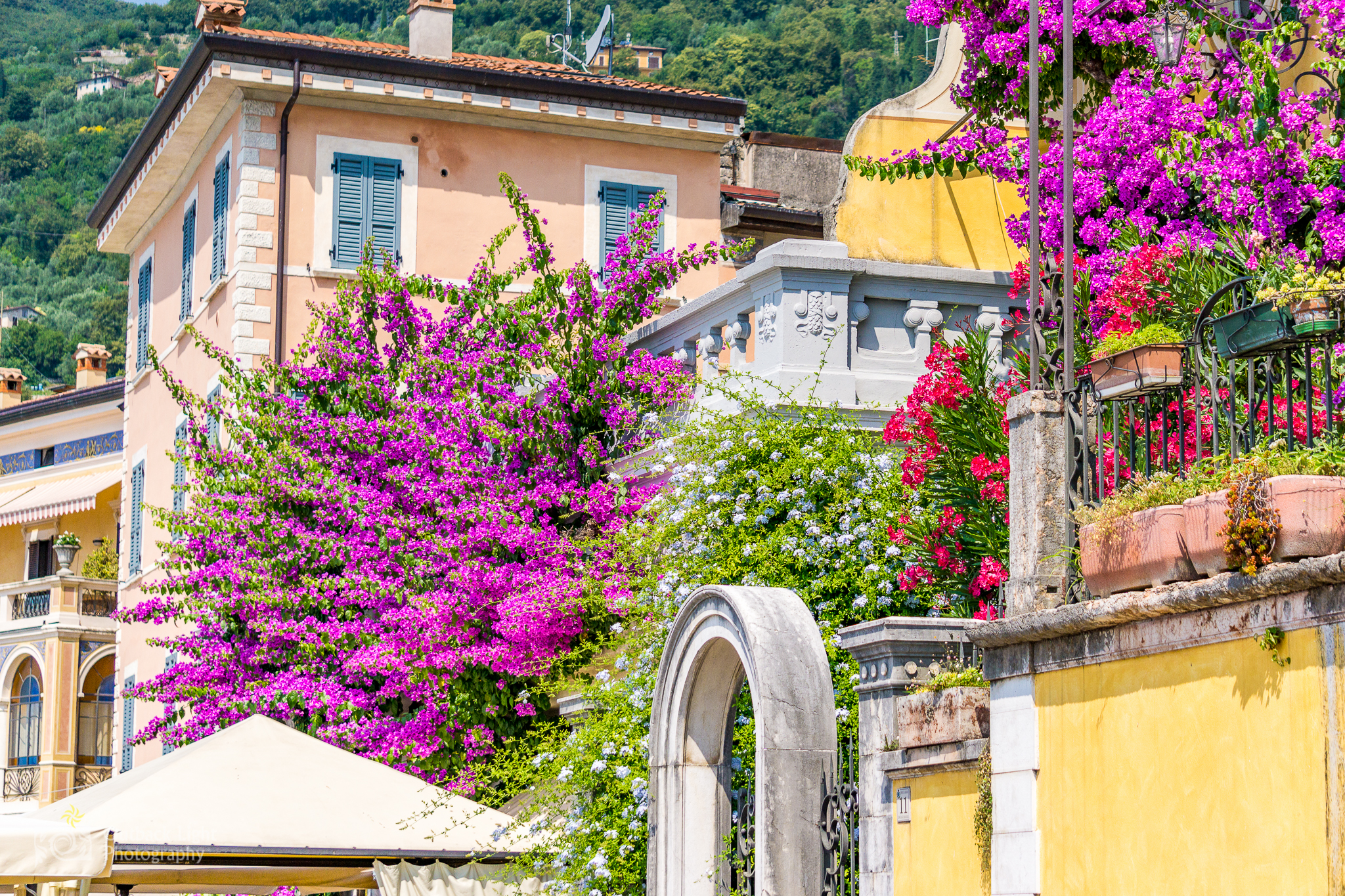 Italy 2016 A6000 6197