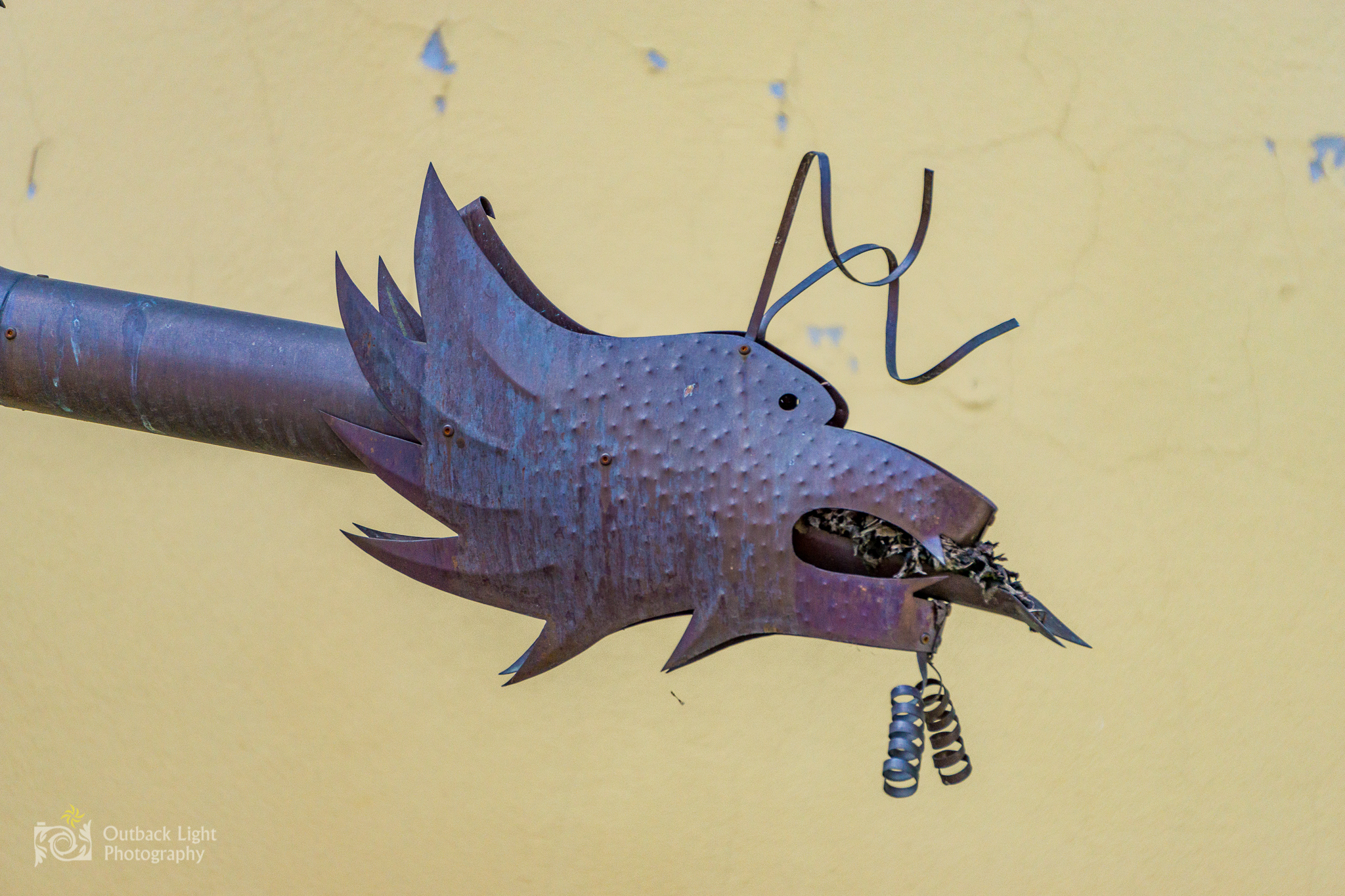 Italy 2016 A6000 6269