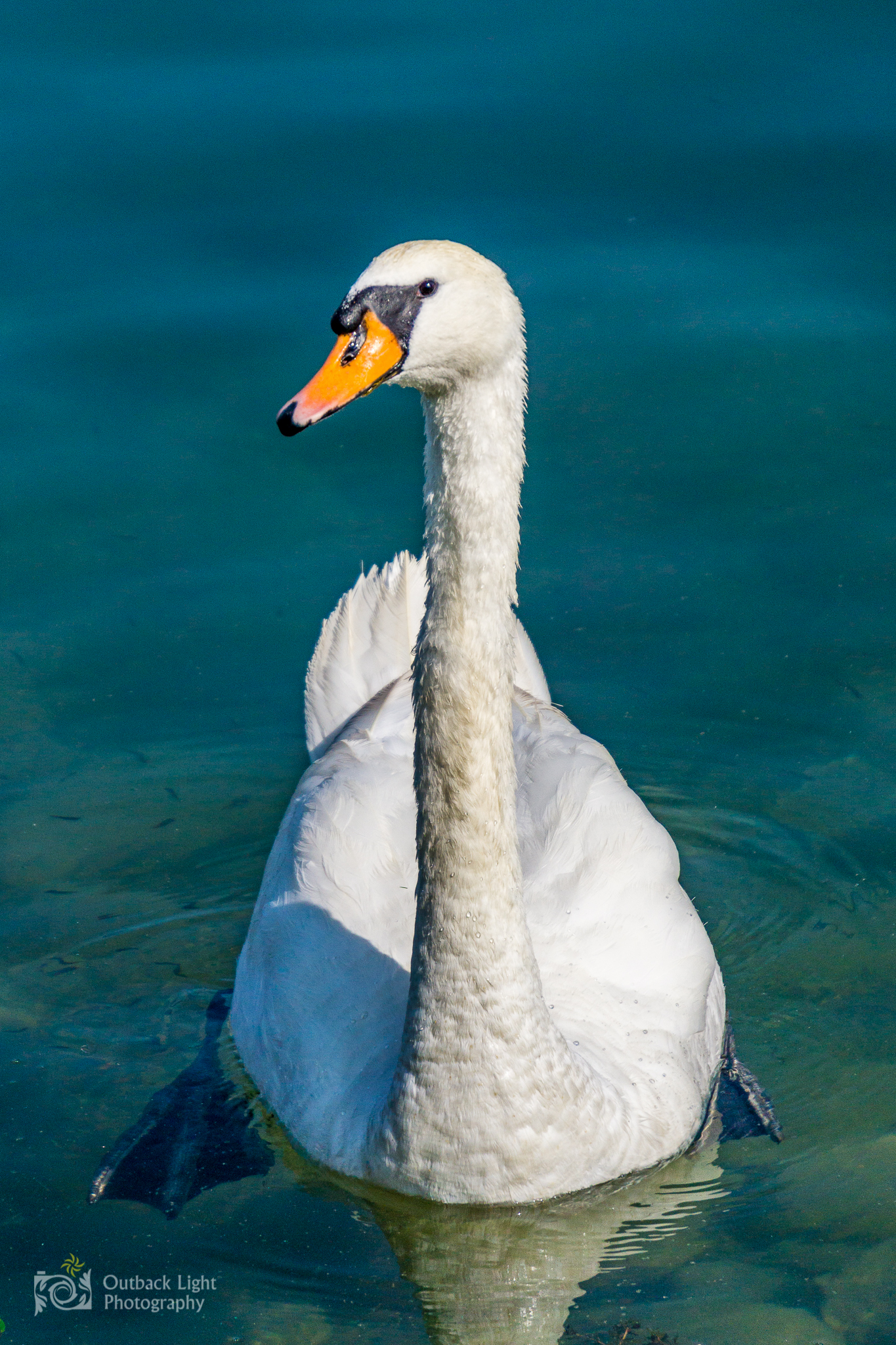 Italy 2016 A6000 6288