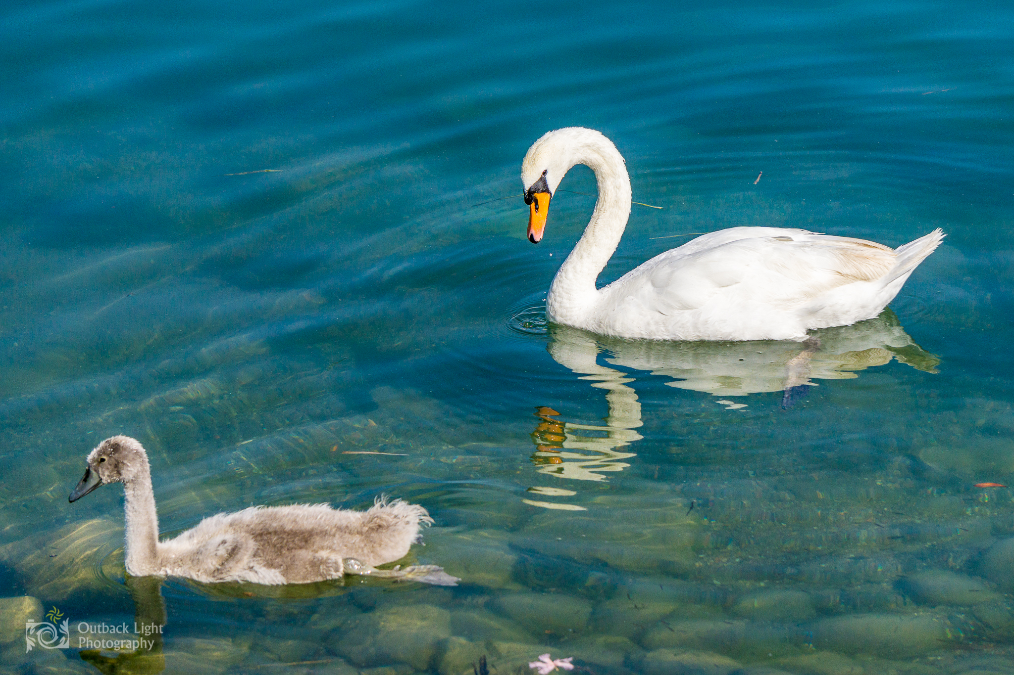 Italy 2016 A6000 6292