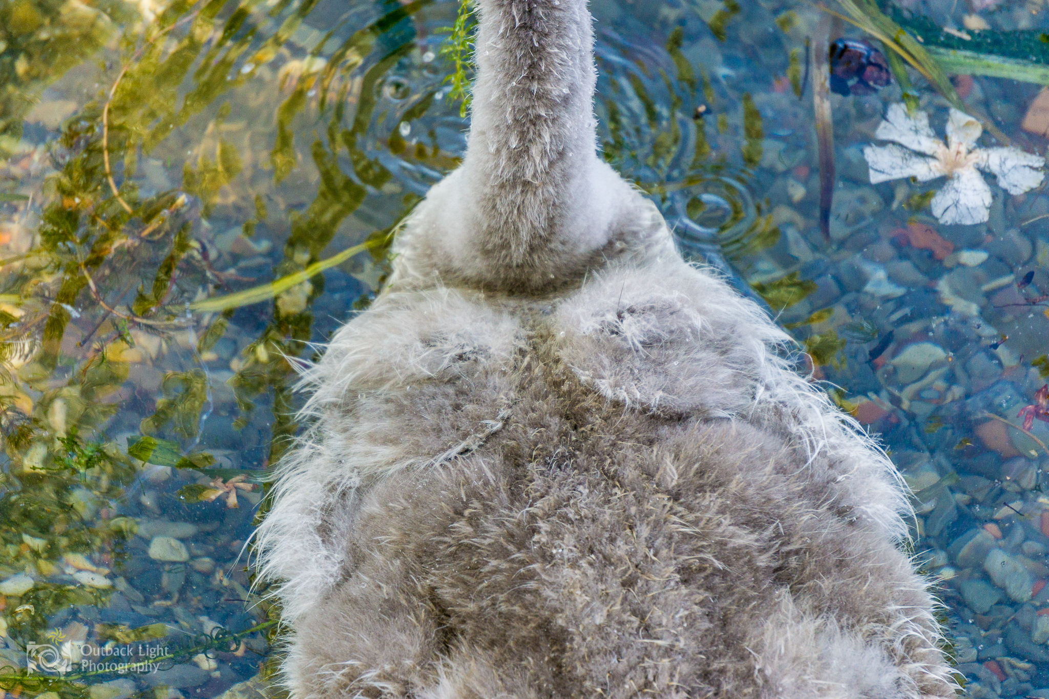 Italy 2016 A6000 6306