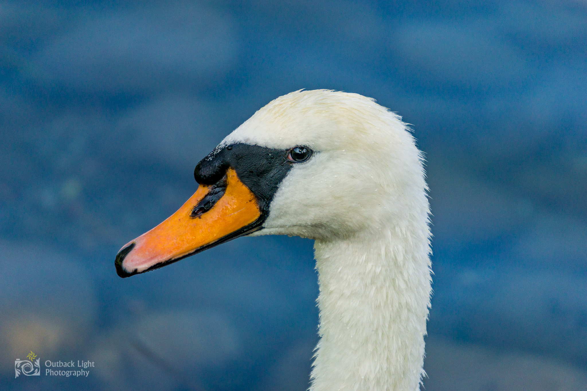 Italy 2016 A6000 6313