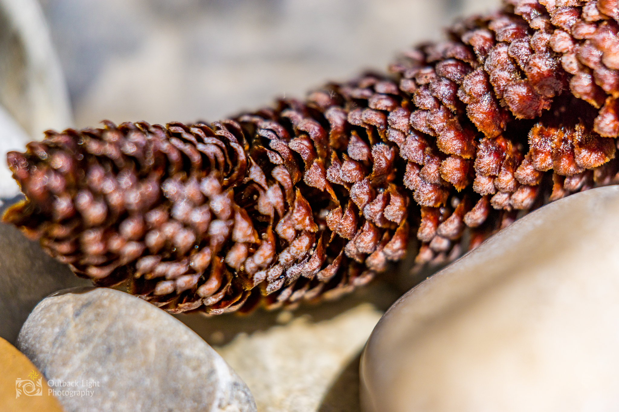 Italy 2016 A6000 6356