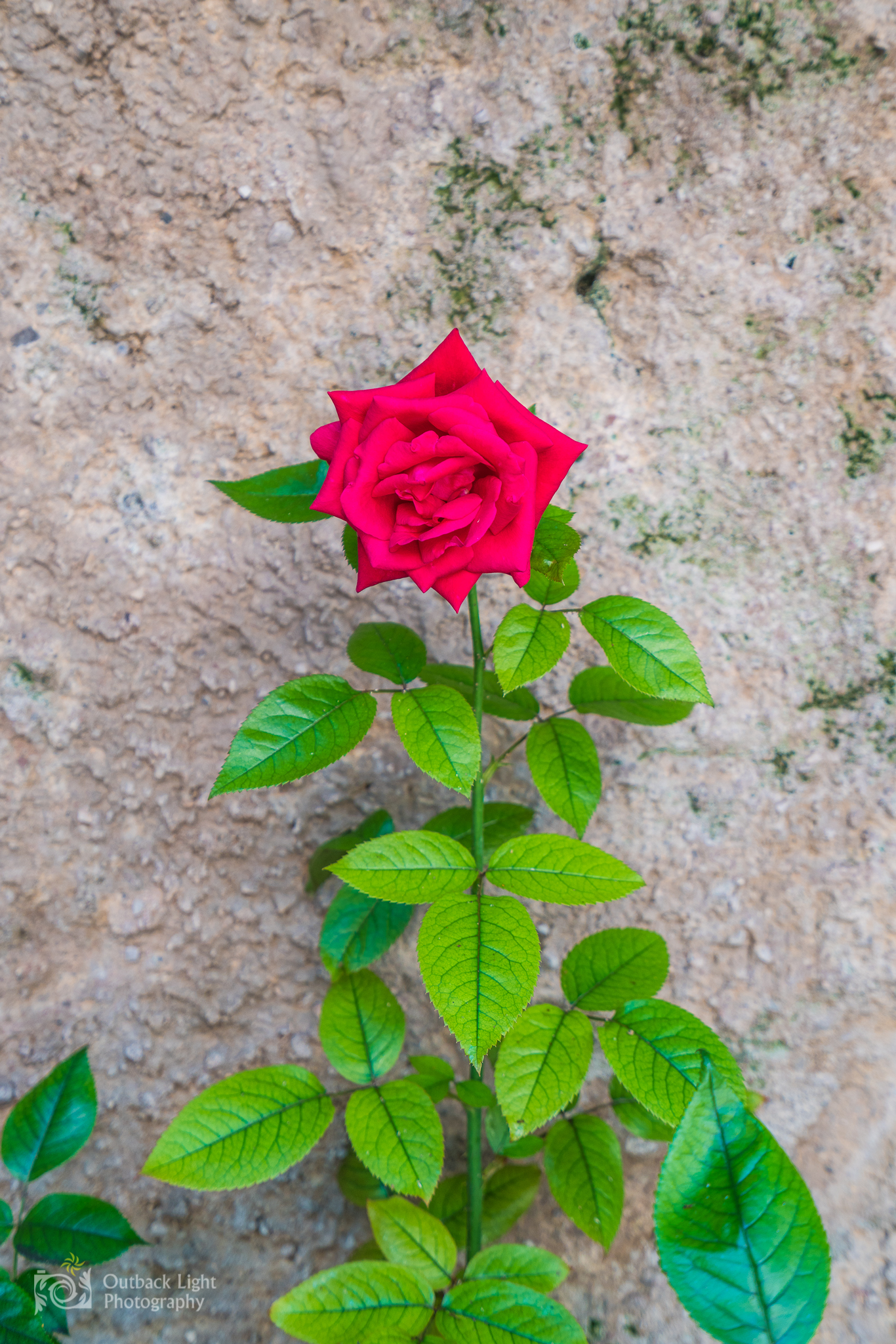 Italy 2016 A7RII 3460