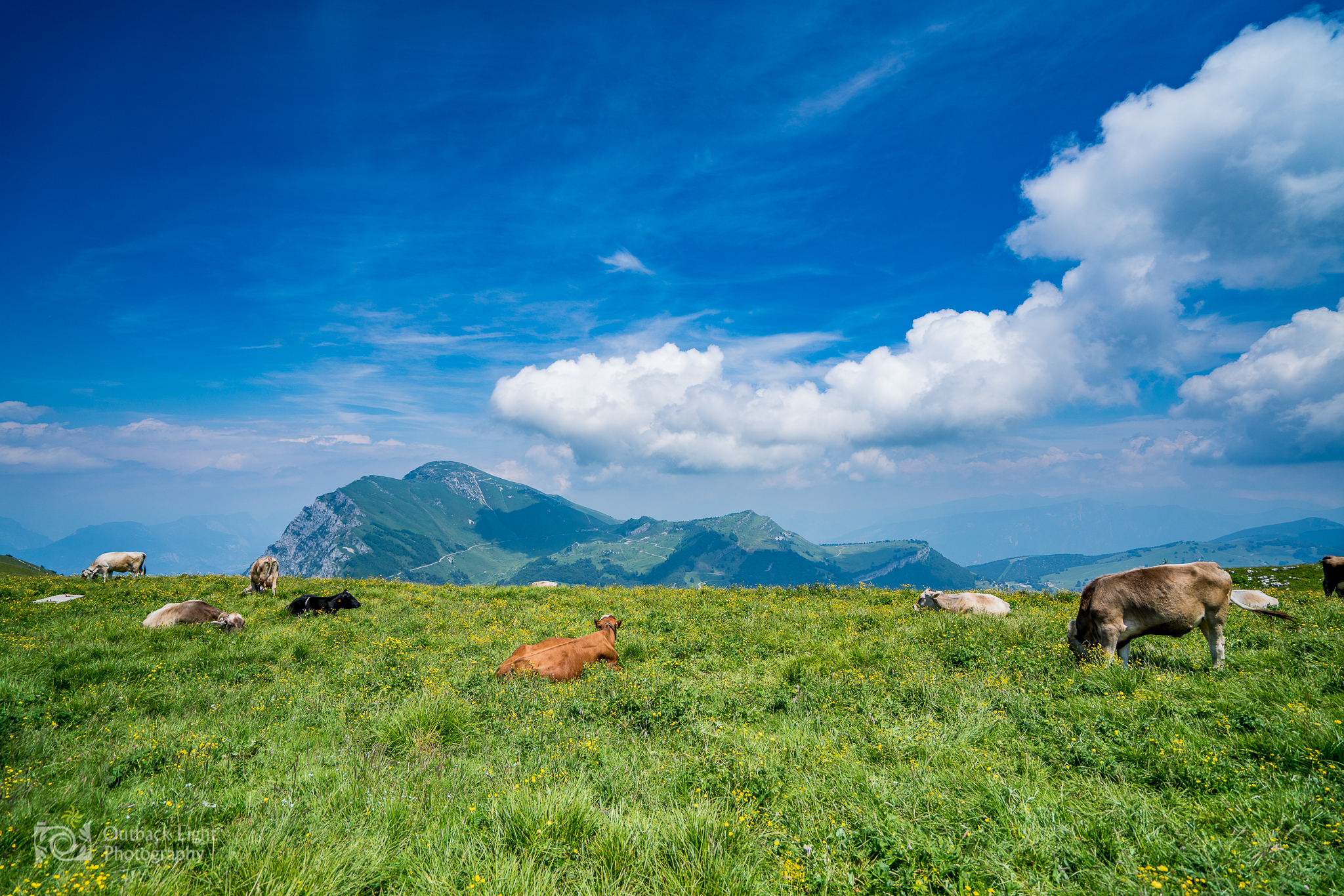 Italy 2016 A7RII 3531