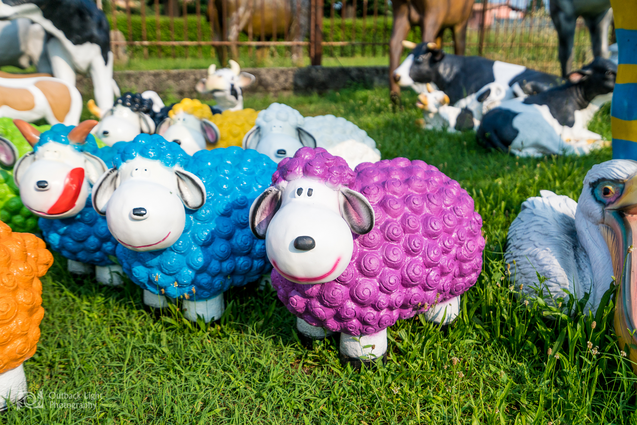 Italy 2016 A7RII 3686