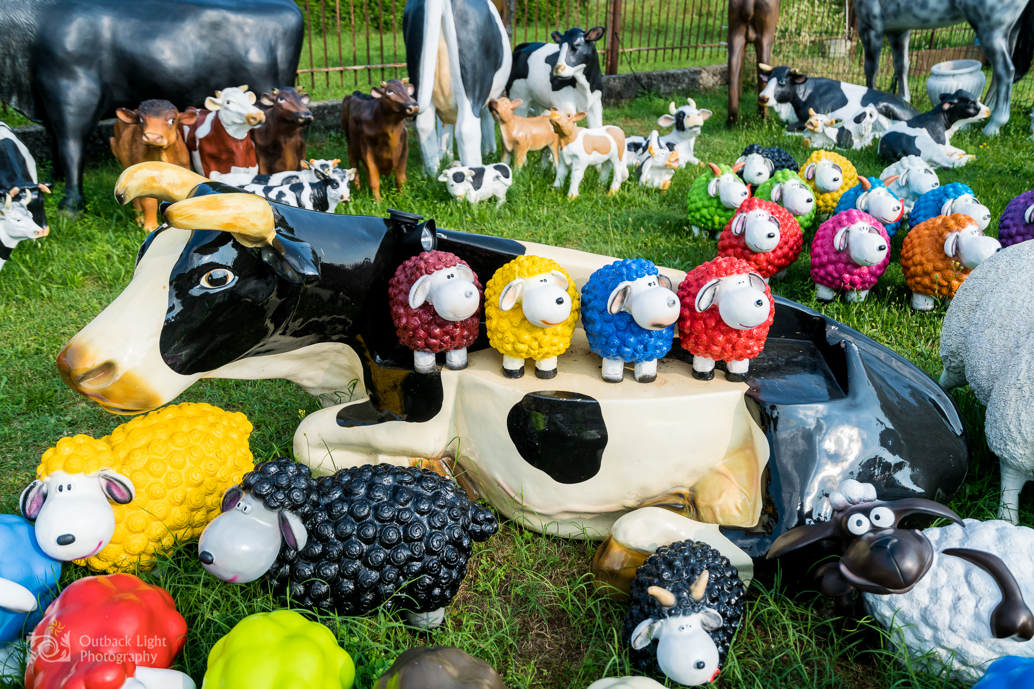 Italy 2016 A7RII 3695