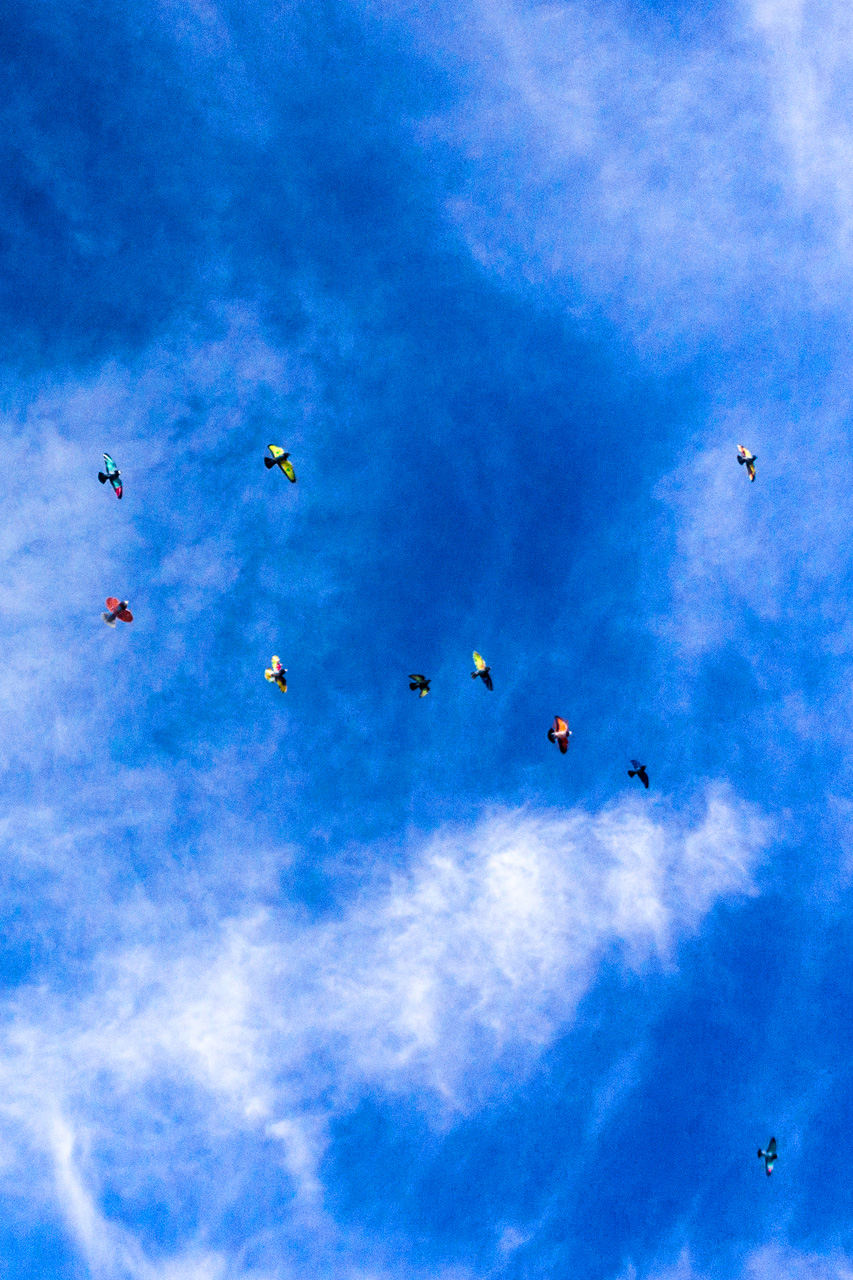 Almansa to Pinar 6733