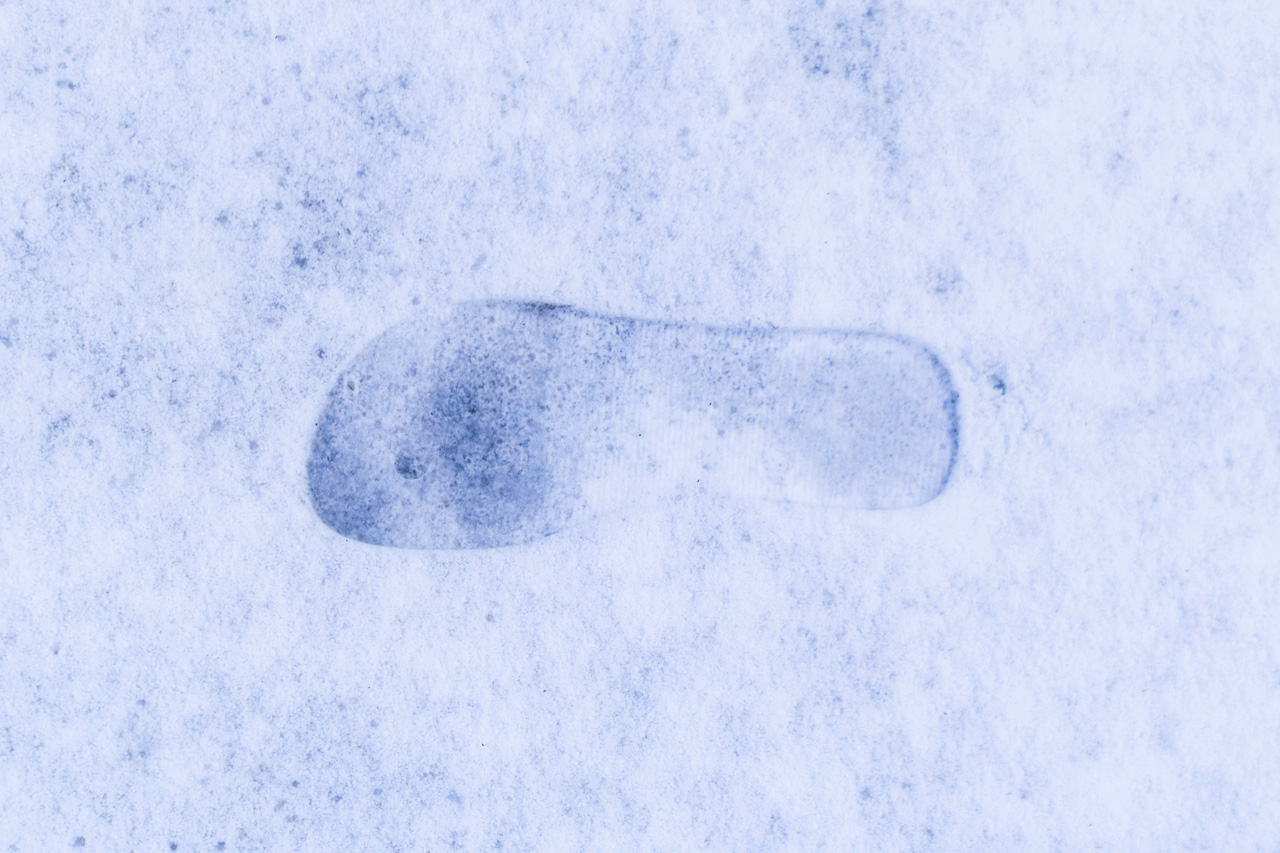 Pinar to La Herradura 7037