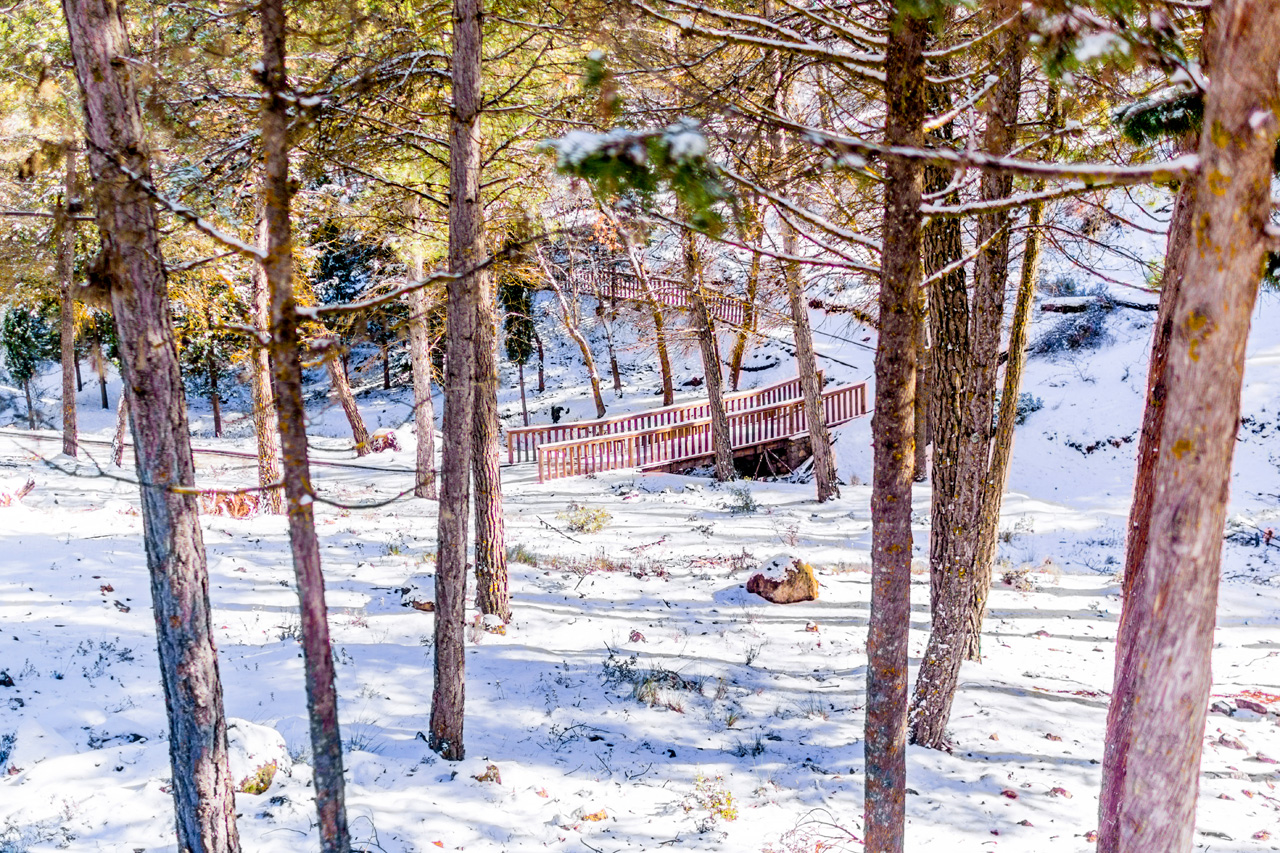 Pinar to La Herradura 7055