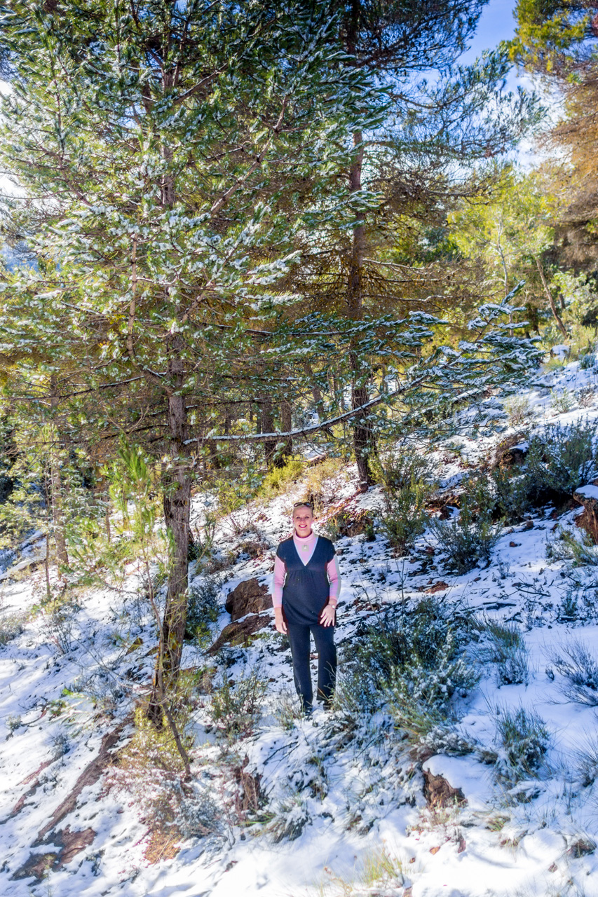 Pinar to La Herradura 7059